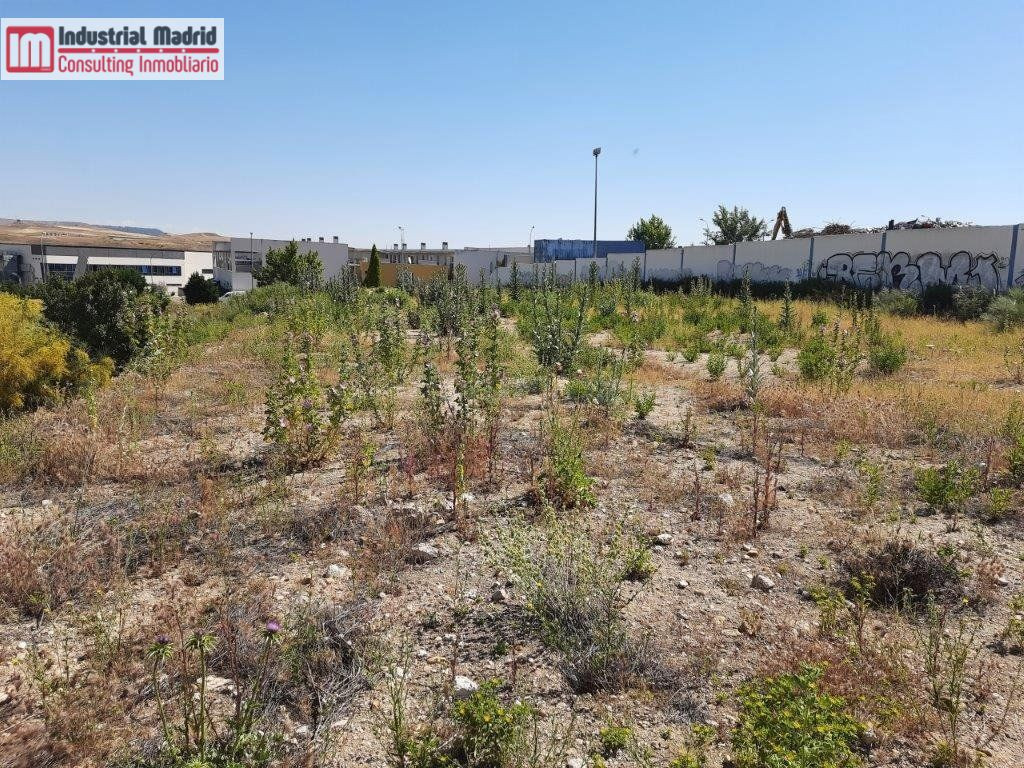 PARCELA INDUSTRIAL EN VENTA EN LOECHES. - foto 3