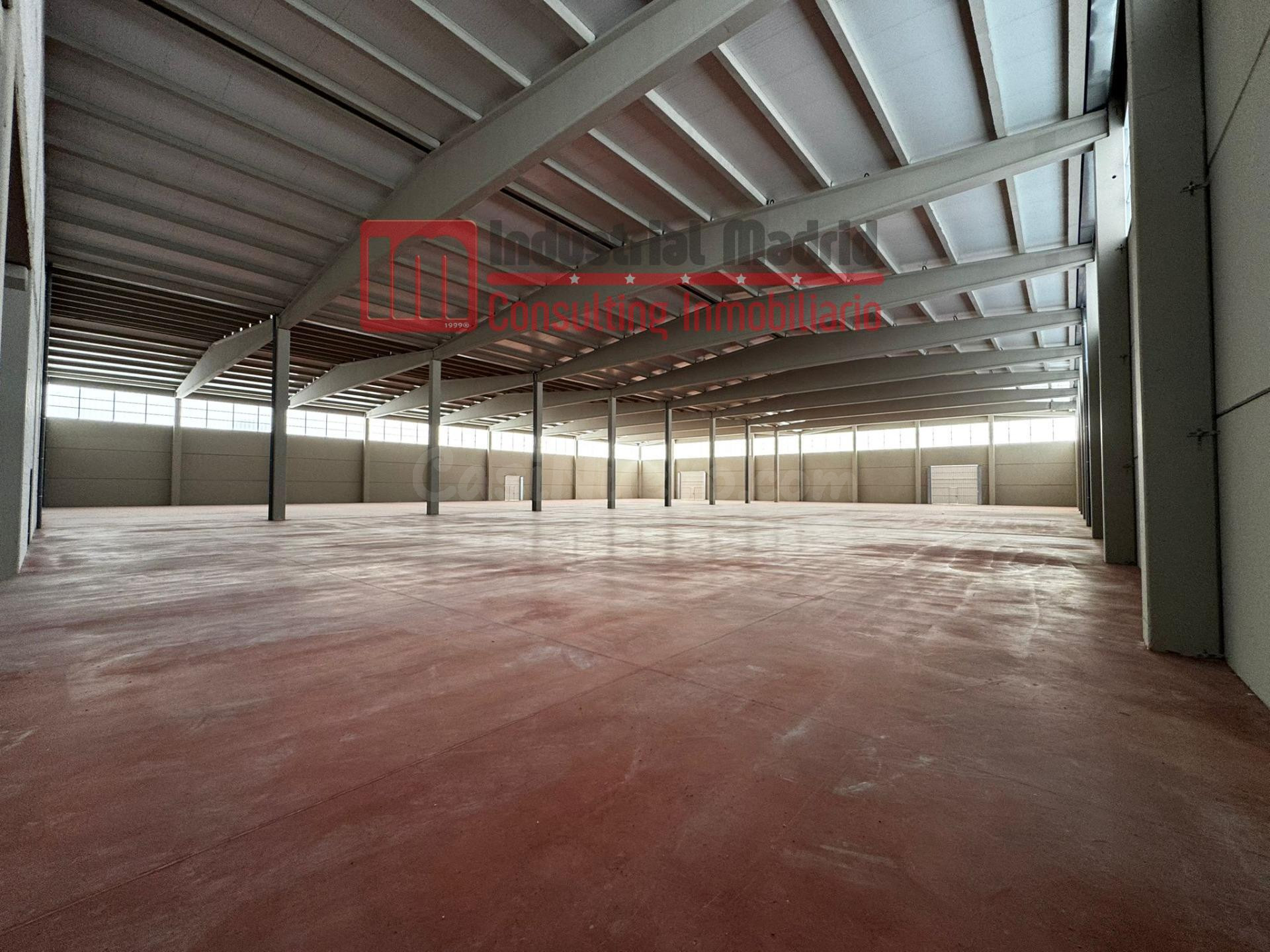 IMPULSE SU NEGOCIO EN UNA NAVE INDUSTRIAL DE NUEVA CONSTRUCC - foto 3