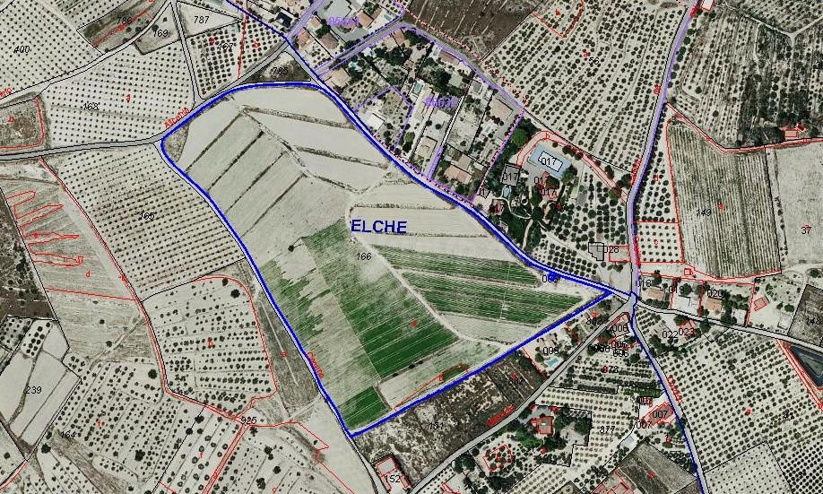 Parcela Agrícola en explotación
