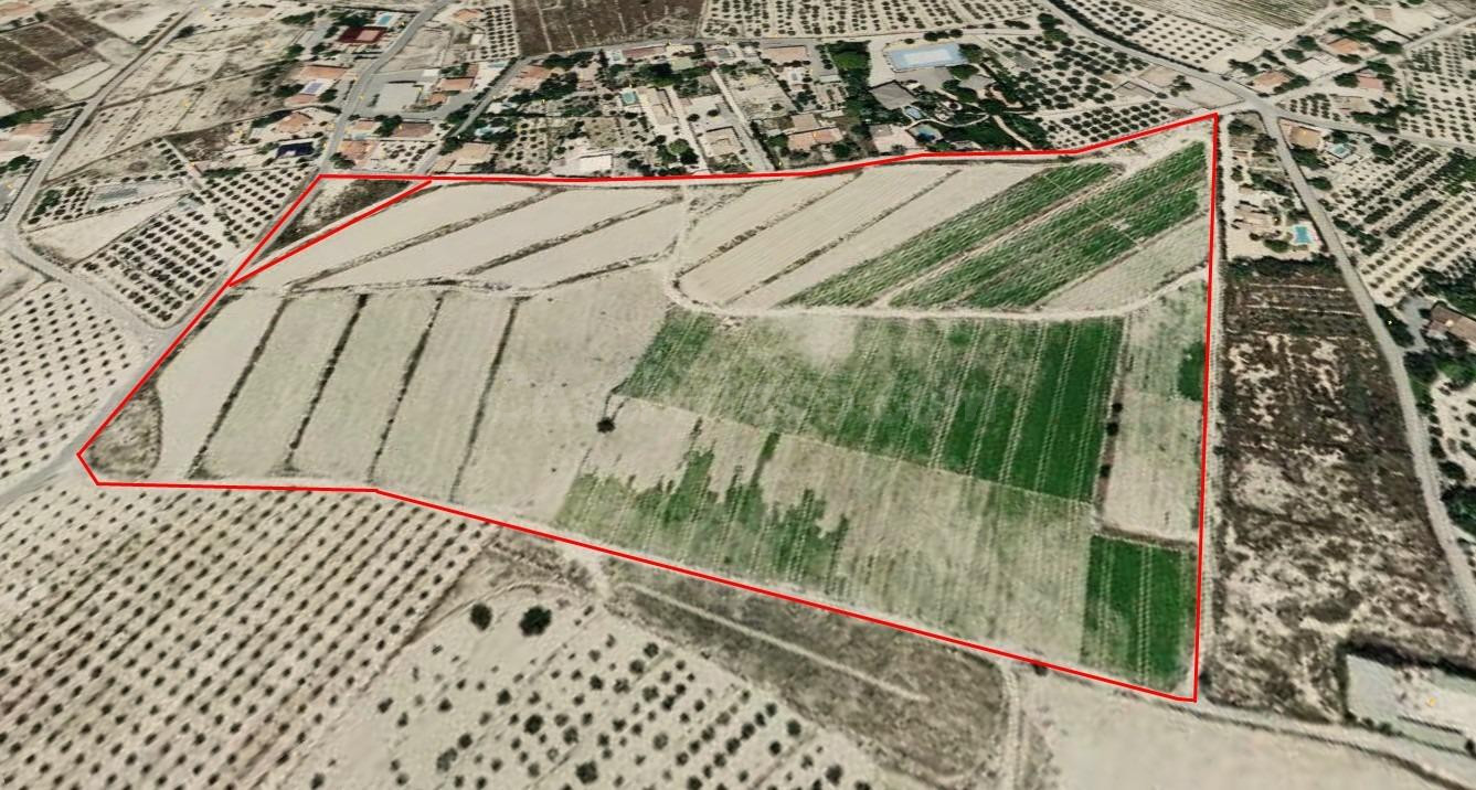 Parcela Agrícola en explotación - foto 2