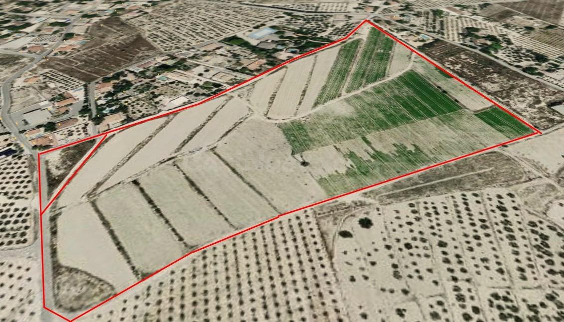 Parcela Agrícola en explotación - foto 4