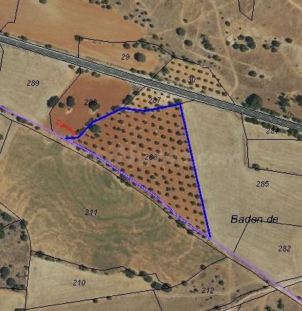 Parcela de 13.882 m2 para Explotación Fotovoltaica o Agraria- venta o alquiler