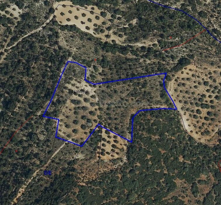 Parcela Rústica de 14.587 m2 con Potencial para Energía Solar- venta o alquiler