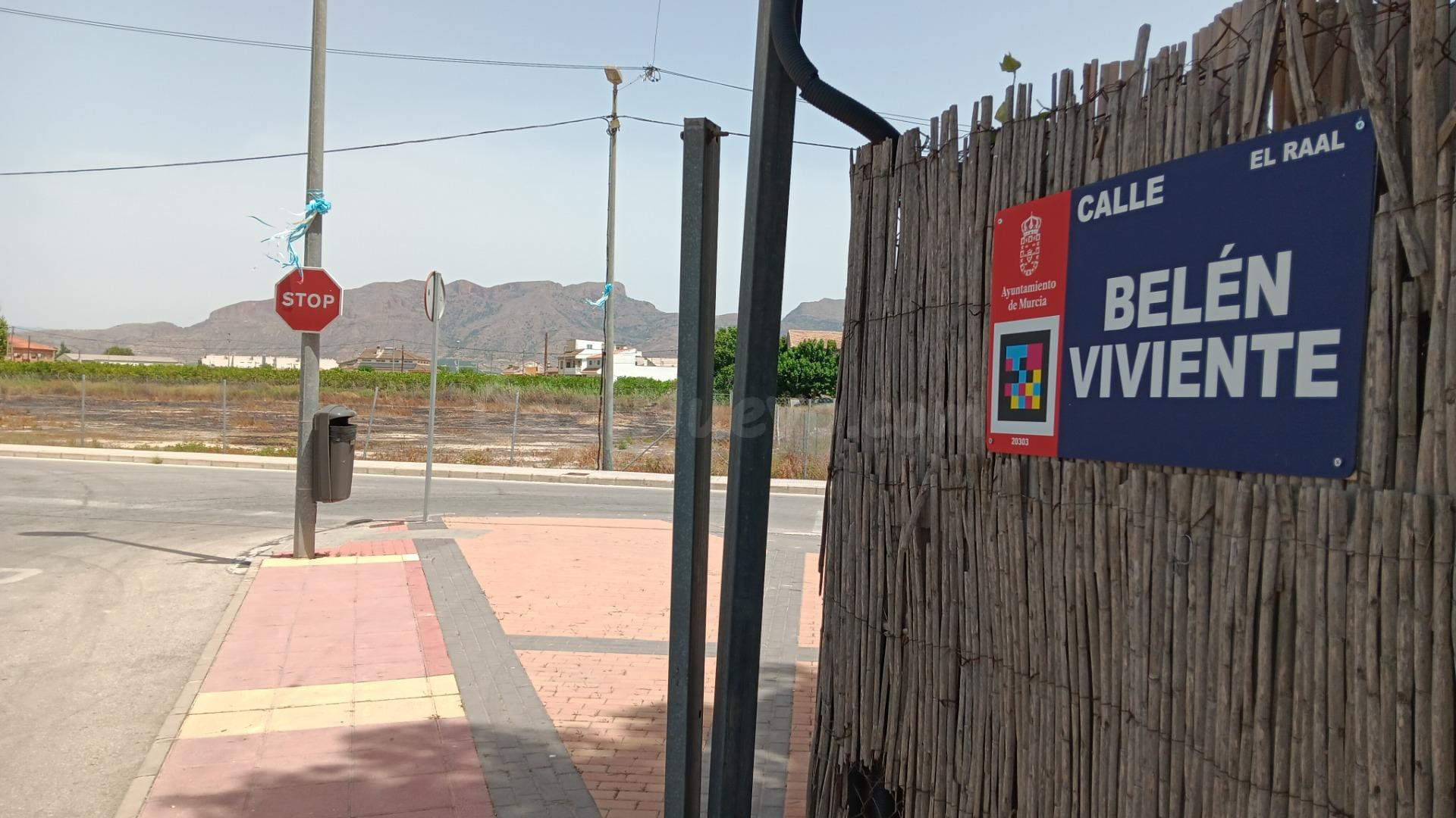 Parcela de 11.300 m2 con suelo urbano para construir una viv - foto 3