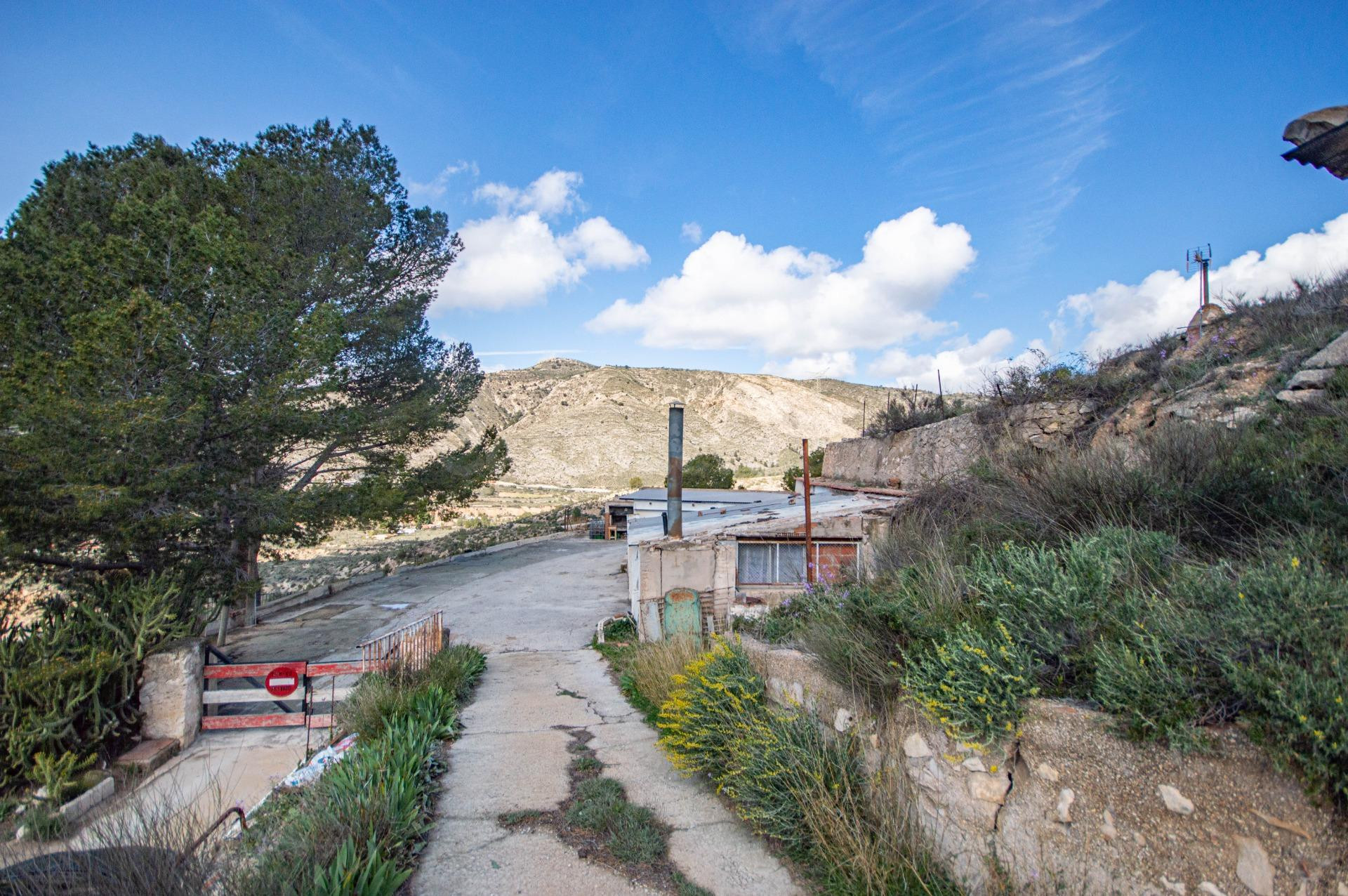 CASA DE CAMPO EN PETRER, ZONA ALMADRABA - foto 4