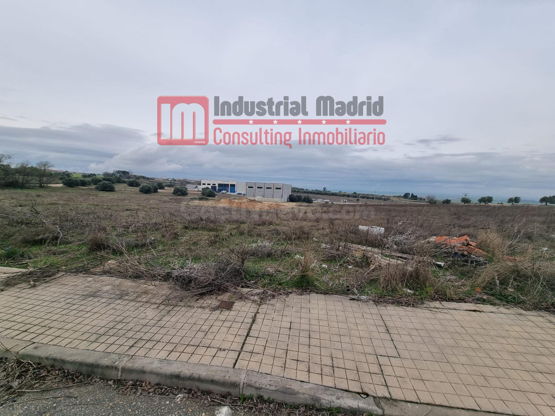 PARCELAS INDUSTRIALES, COMERCIALES Y HOTELERAS EN UBICACIÓN  - foto 2
