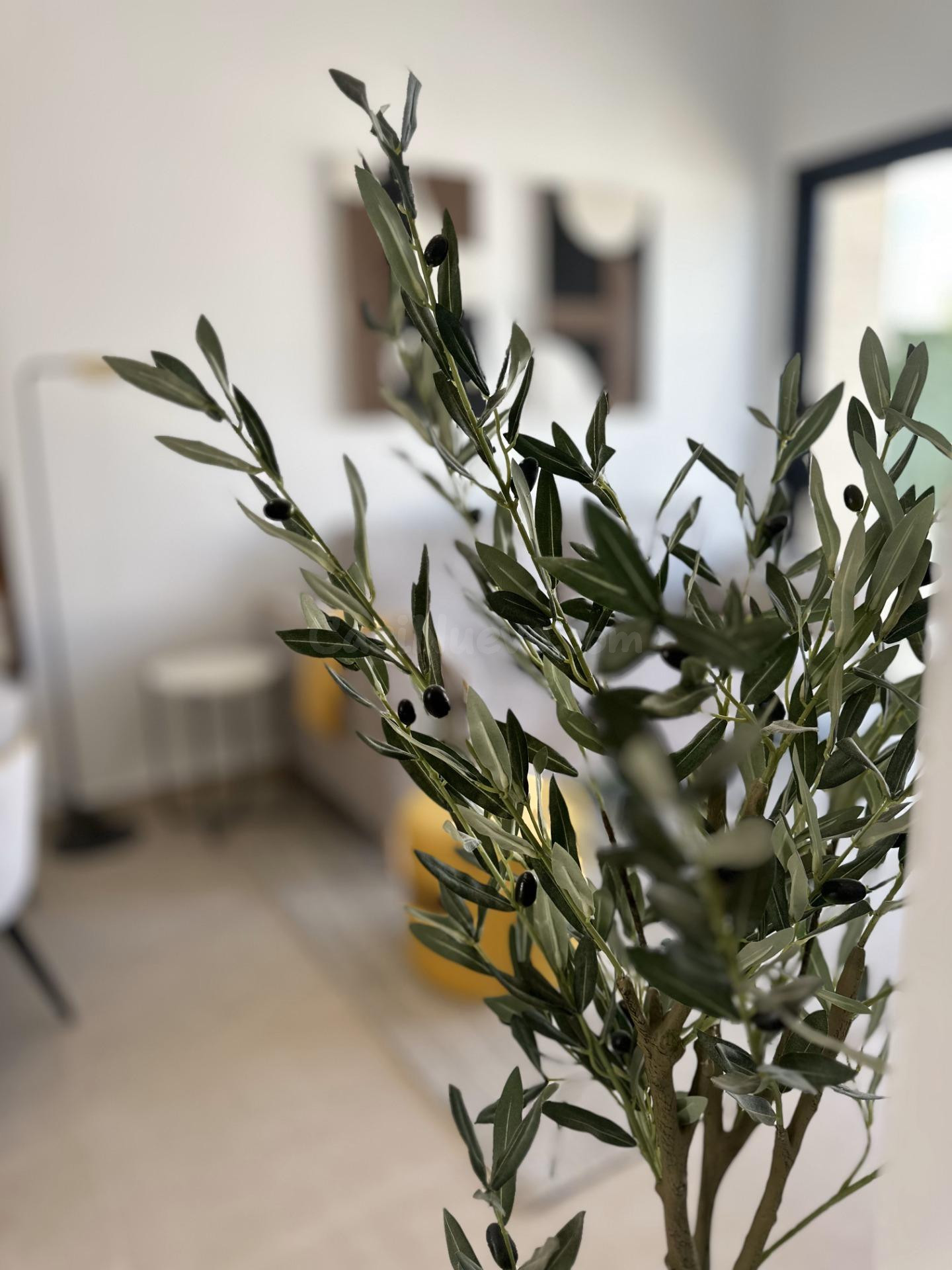 APARTAMENTO DE DISEÑO EN SAN FULGENCIO - foto 4