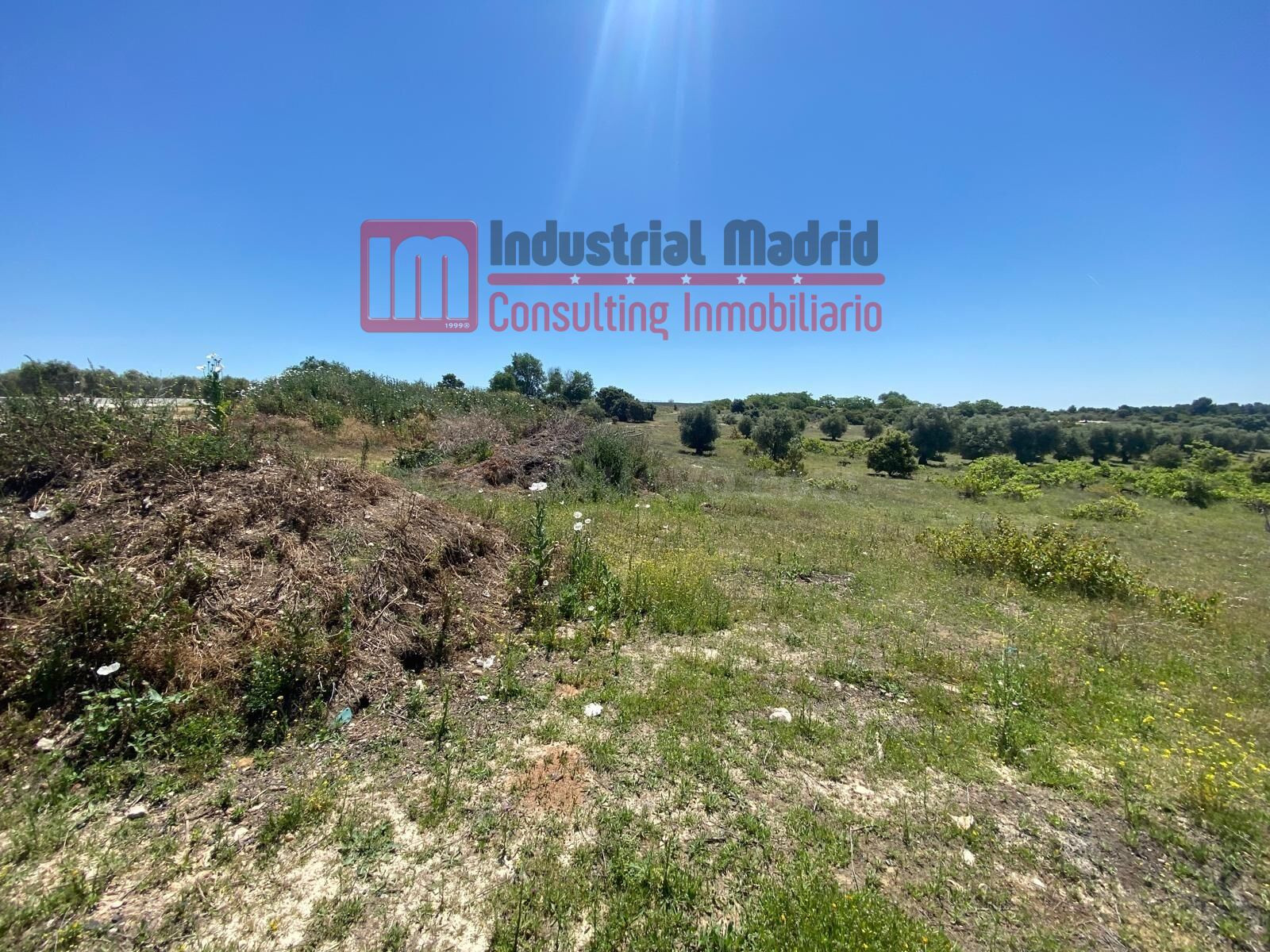 TERRENO EN ARGANDA DEL REY - foto 5
