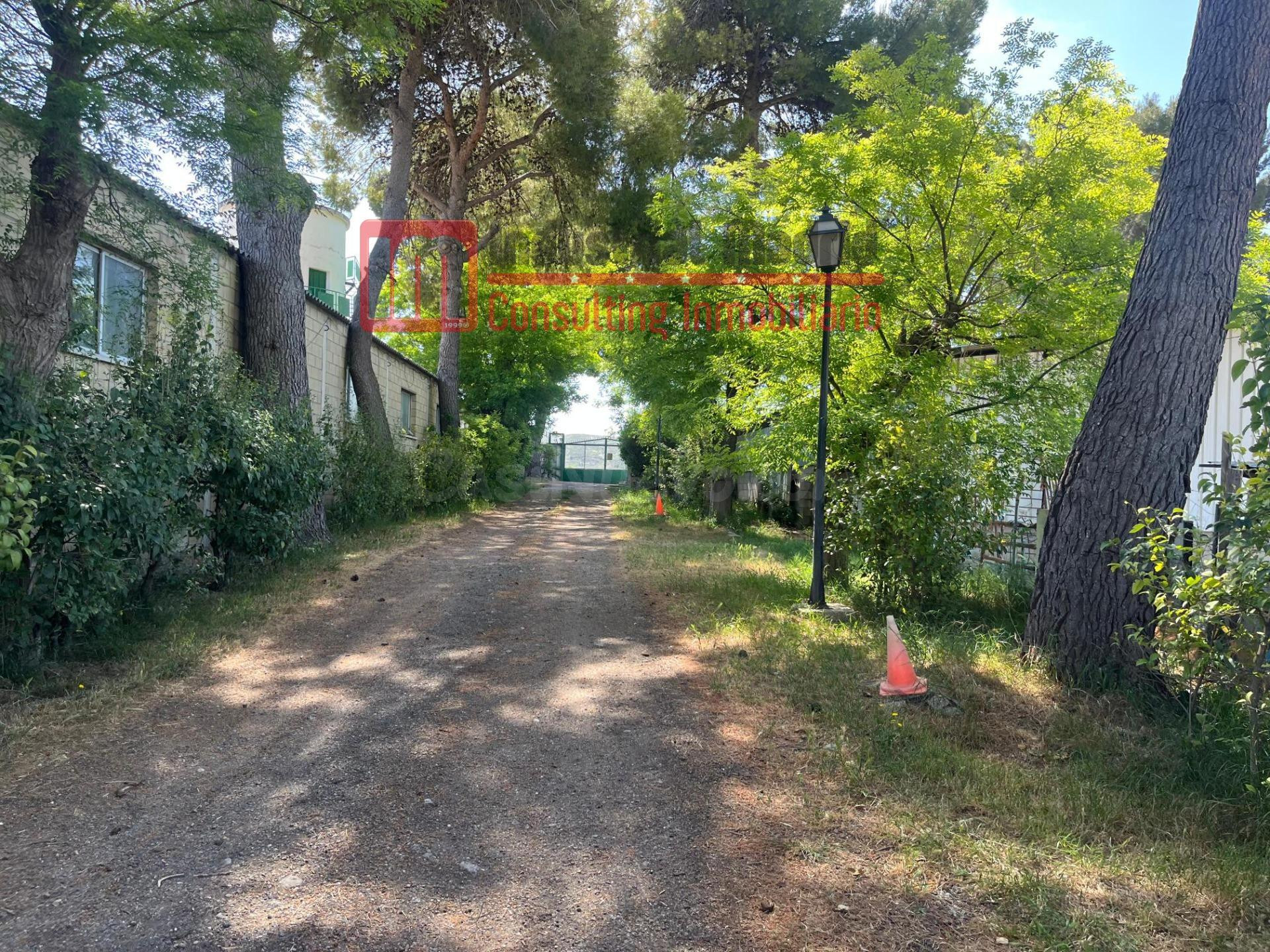 FINCA RÚSTICA GANADERA EN ARGANDA DEL REY