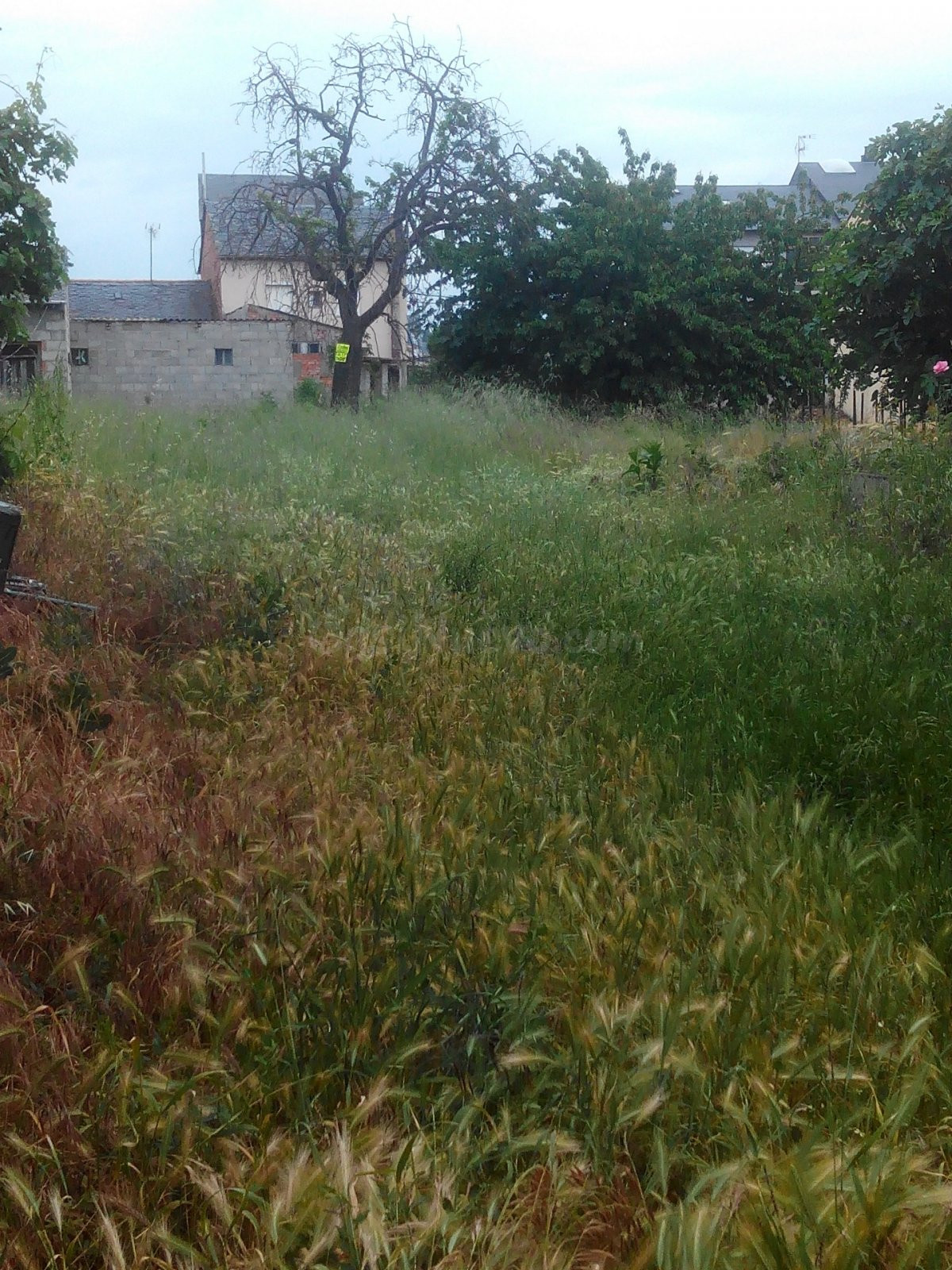 TERRENO URBANO EN CACABELOS - foto 2