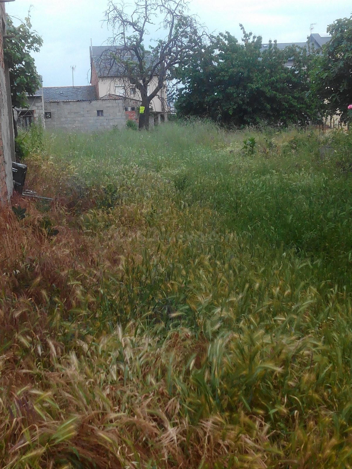 TERRENO URBANO EN CACABELOS - foto 3