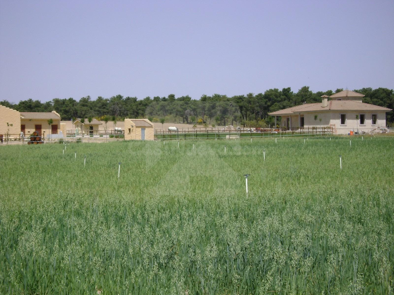 Finca hipica cerca de madrid - foto 3