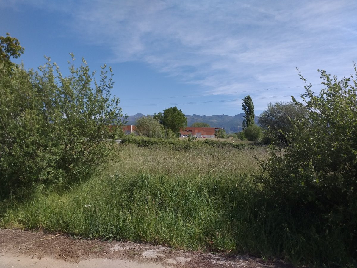 TERRENO NO URBANO - foto 3