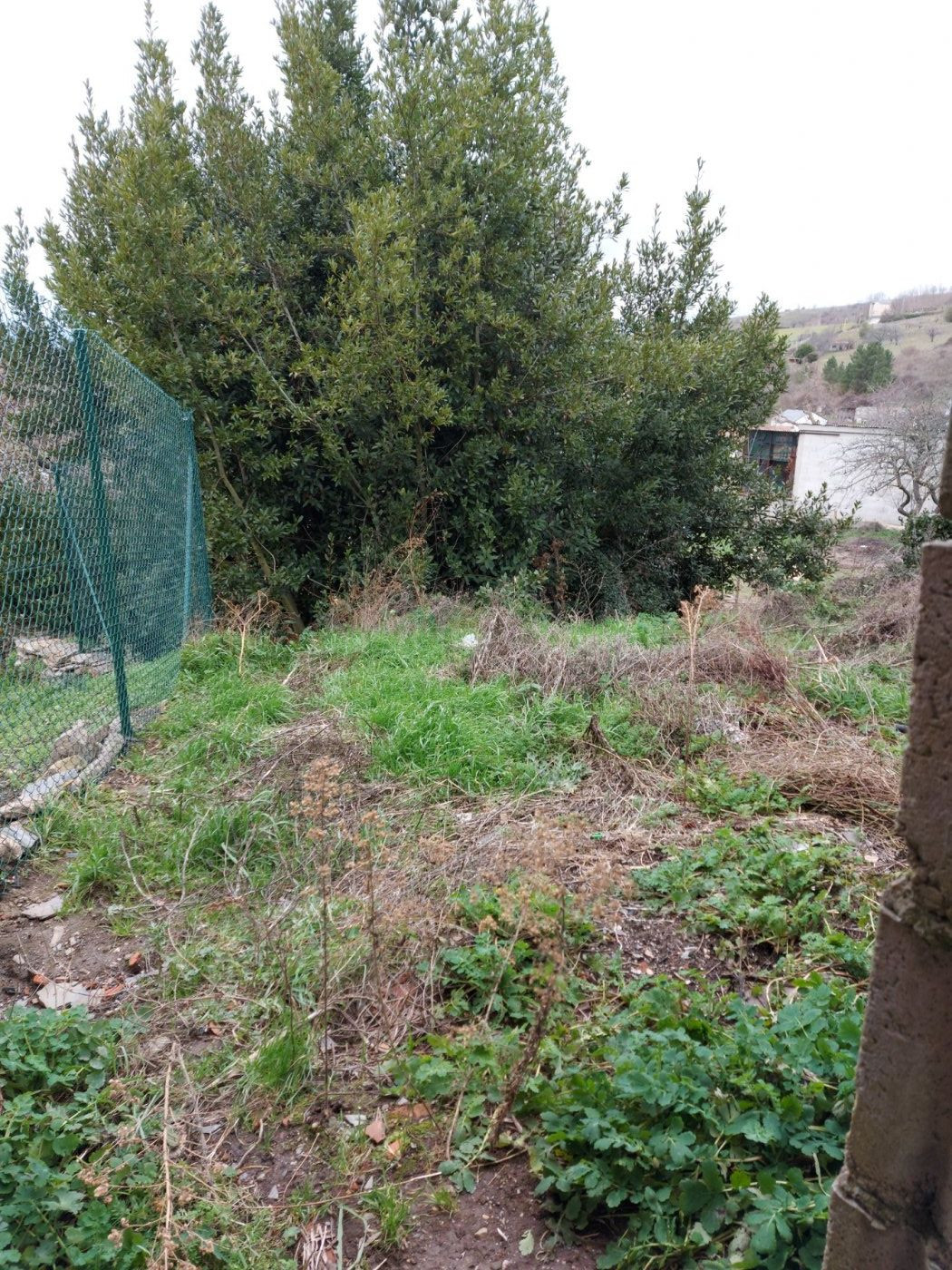 CASA CON TERRENO EN VILLAR DE LOS BARRIOS - foto 3