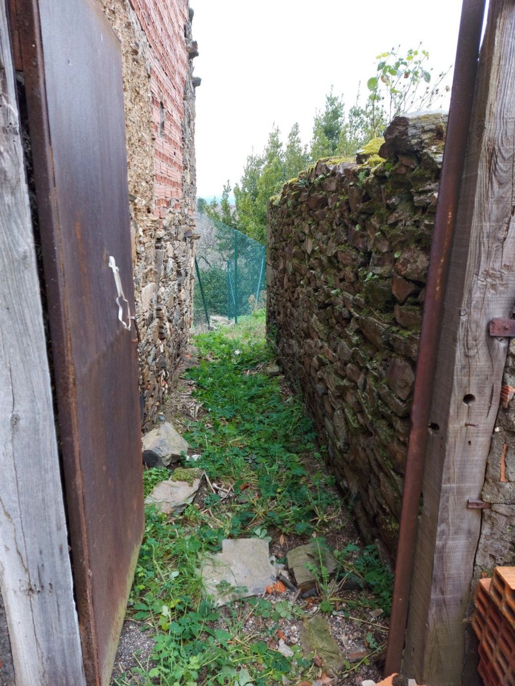 CASA CON TERRENO EN VILLAR DE LOS BARRIOS - foto 4