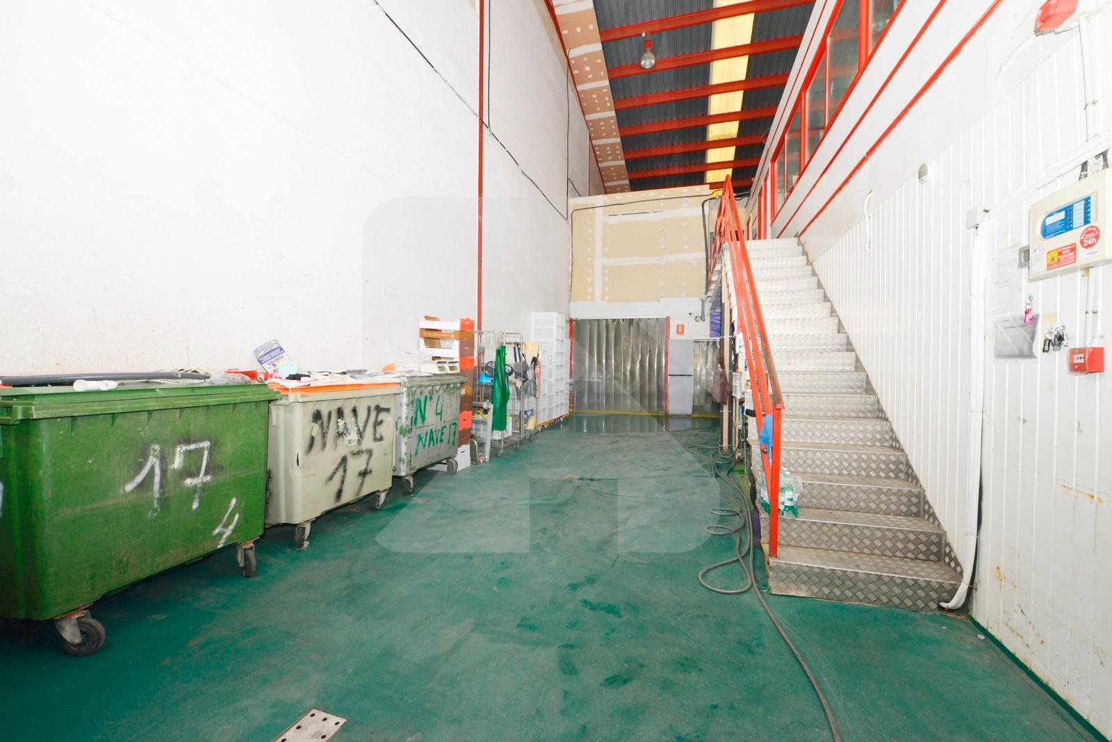NAVE INDUSTRIAL CON CÁMARAS FRIGORÍFICAS - foto 2