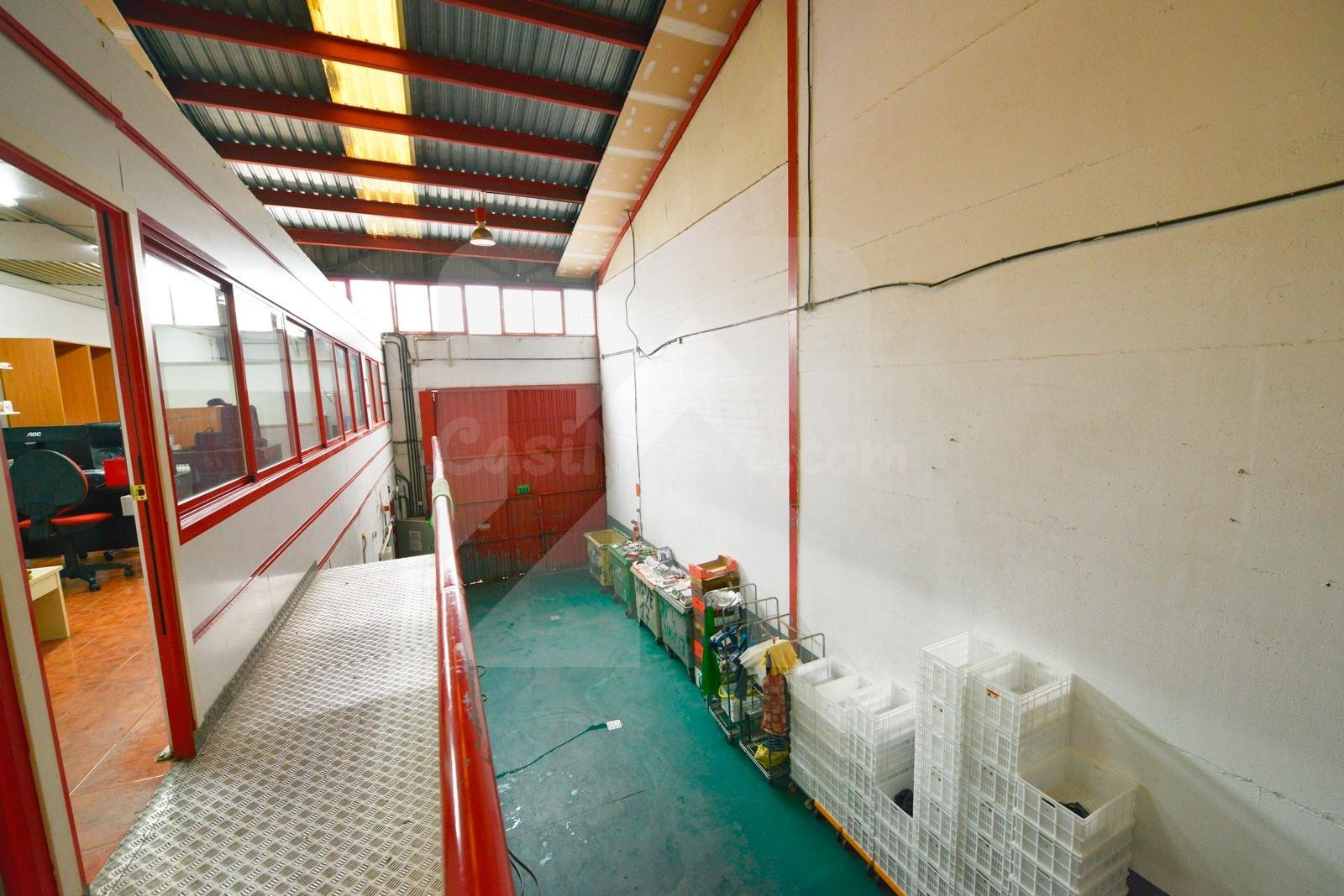 NAVE INDUSTRIAL CON CÁMARAS FRIGORÍFICAS - foto 5