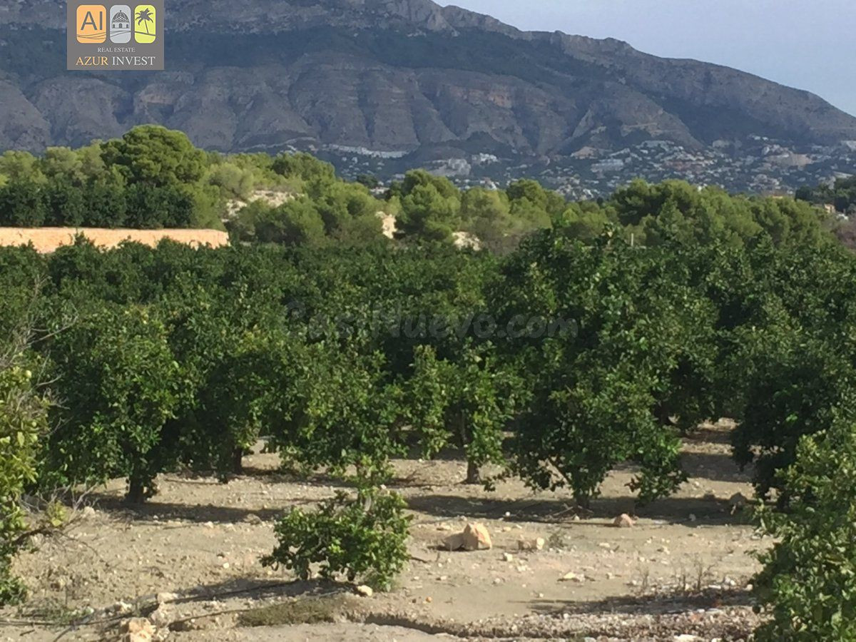 PARCELA DE 12.000M2 CON CASA (EL PLANET) - foto 4