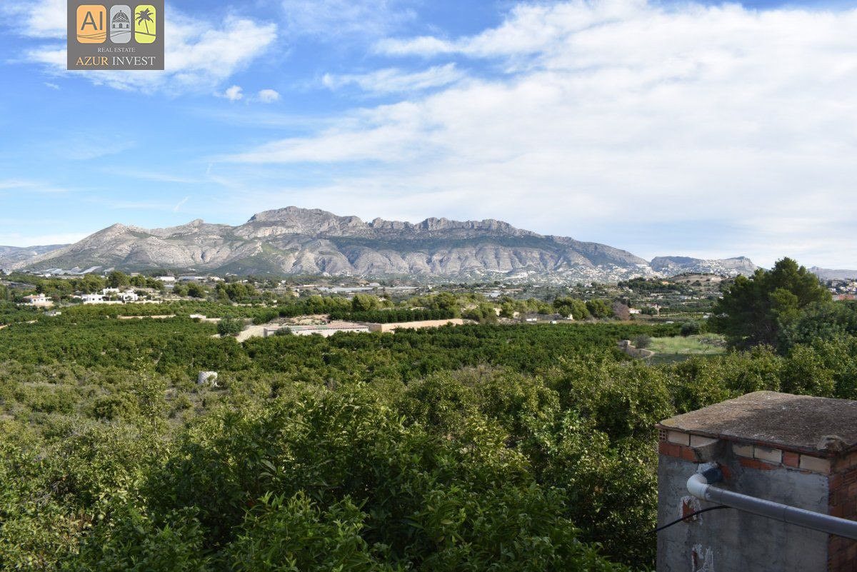 PARCELA DE 12.000M2 CON CASA (EL PLANET) - foto 5