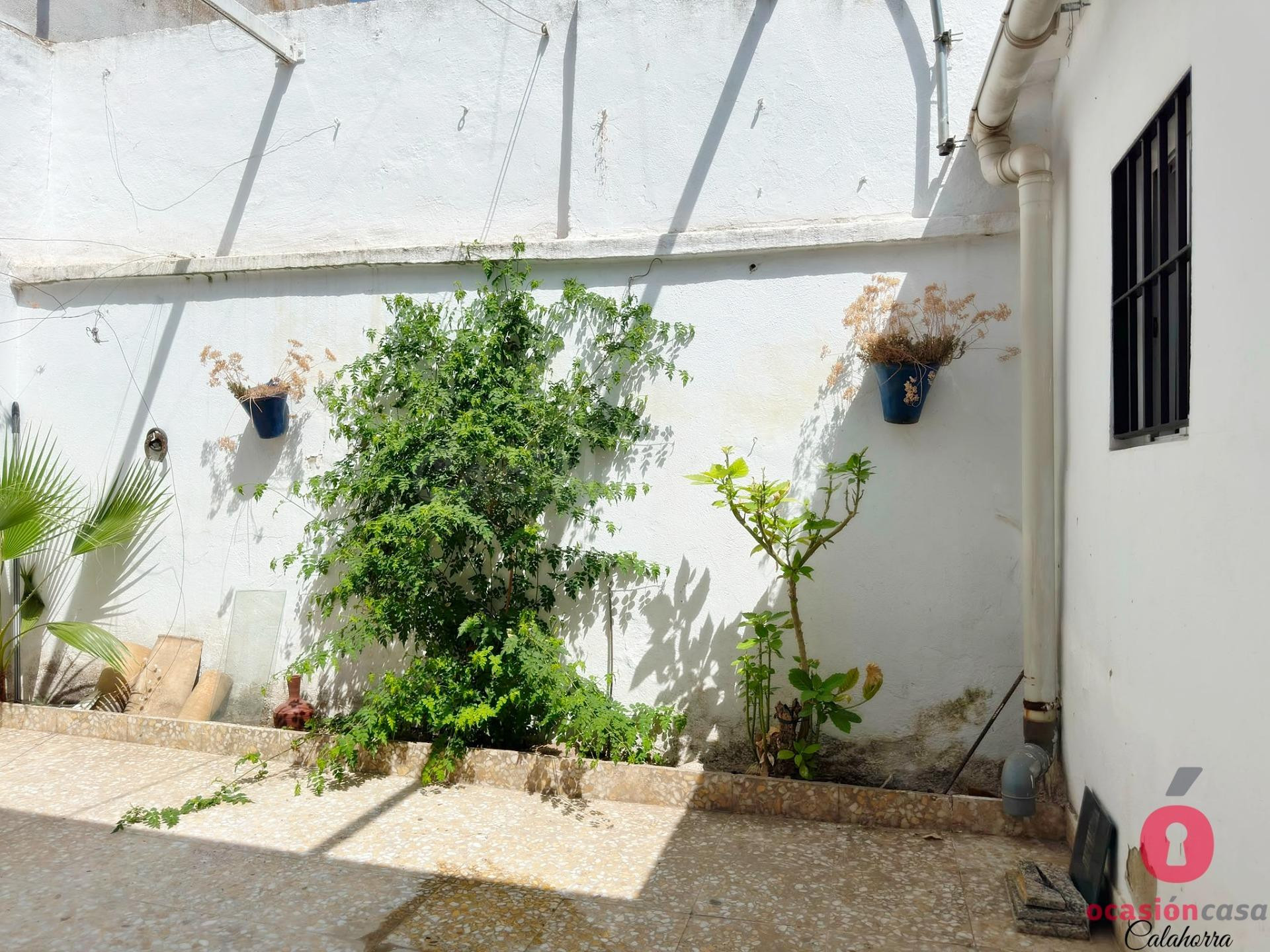 CASA PARA REFORMAR - ZONA MEDIA CAMPO DE LA VERDAD - foto 3