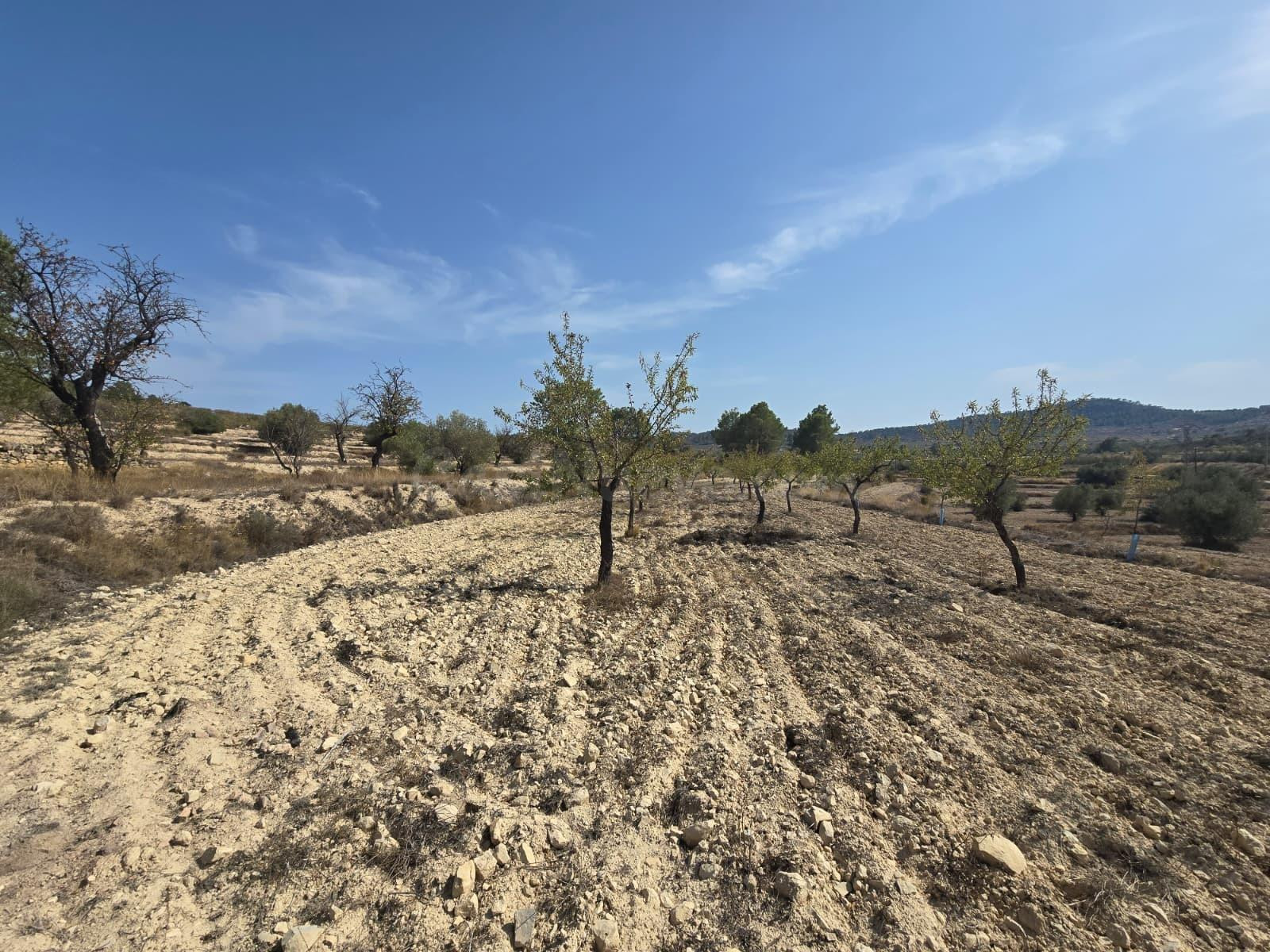 Terreno rural en venta - Comunidad valenciana