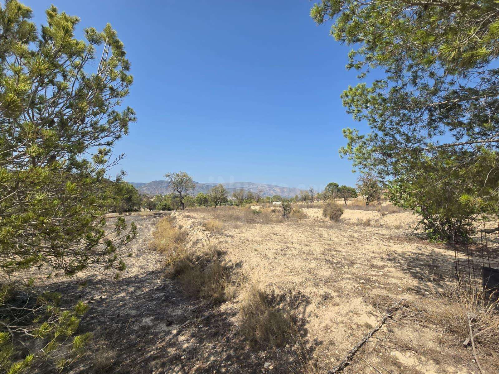 Terreno rural en venta - Comunidad valenciana - foto 2