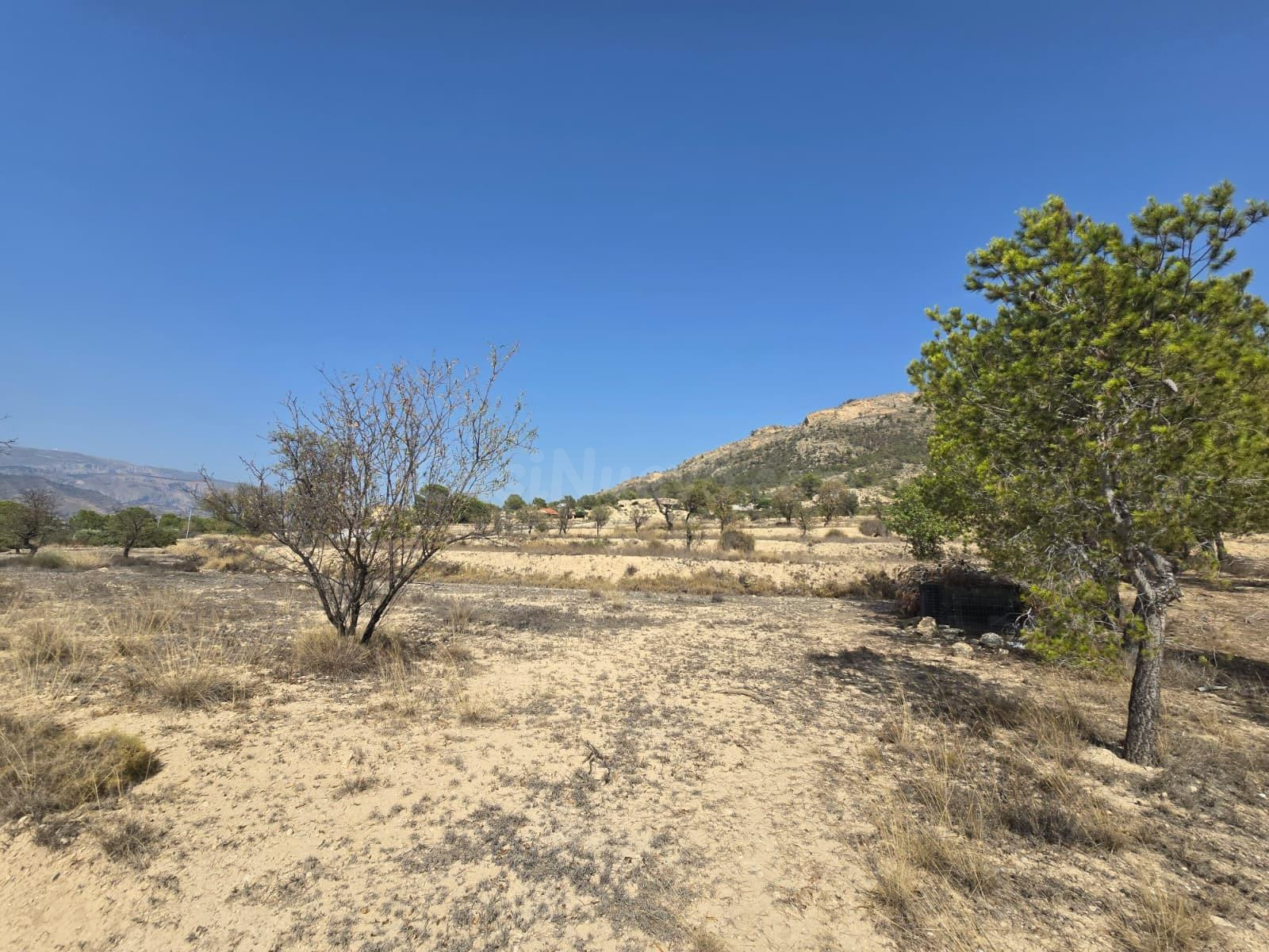 Terreno rural en venta - Comunidad valenciana - foto 3