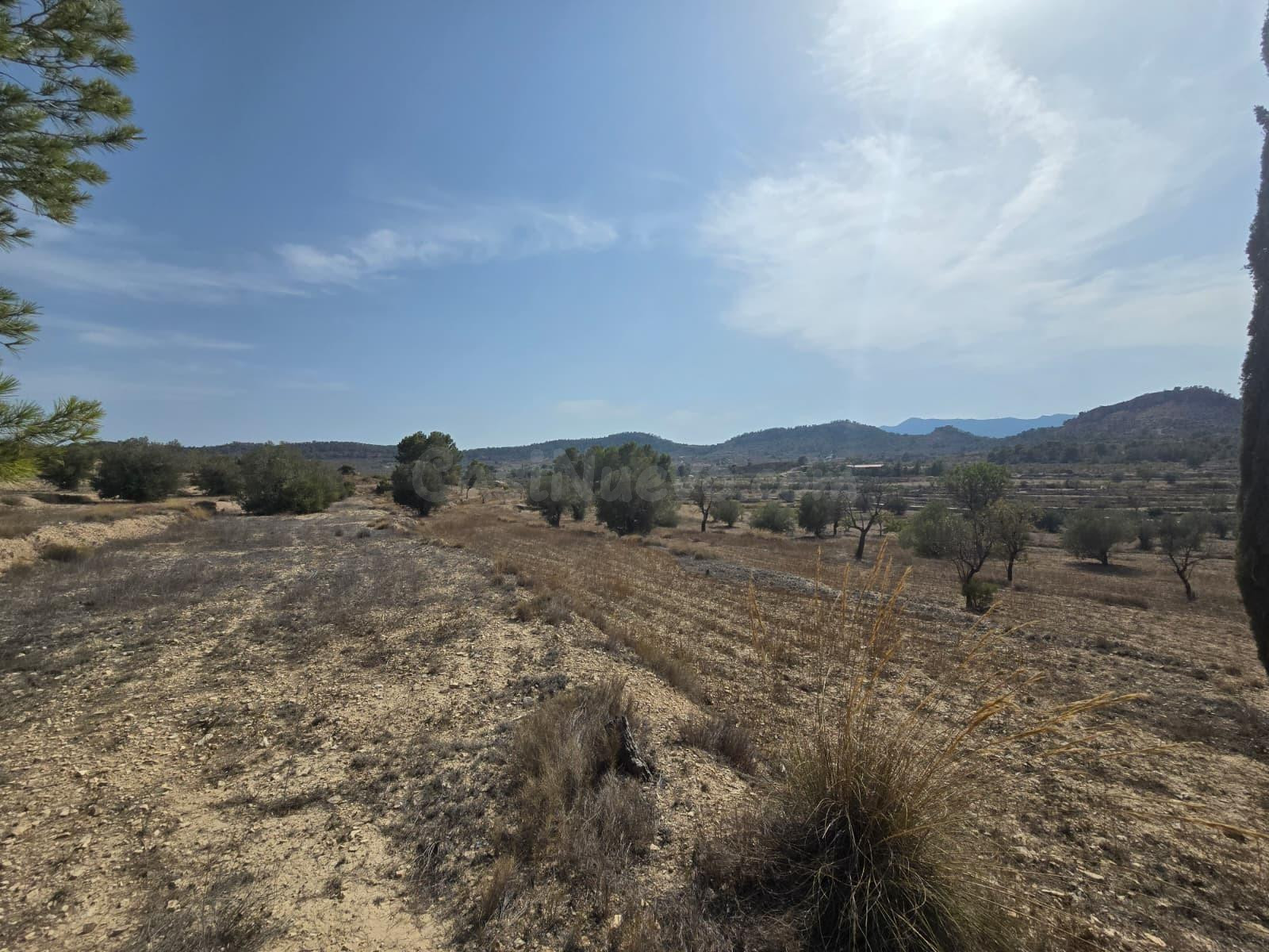 Terreno rural en venta - Comunidad valenciana - foto 4