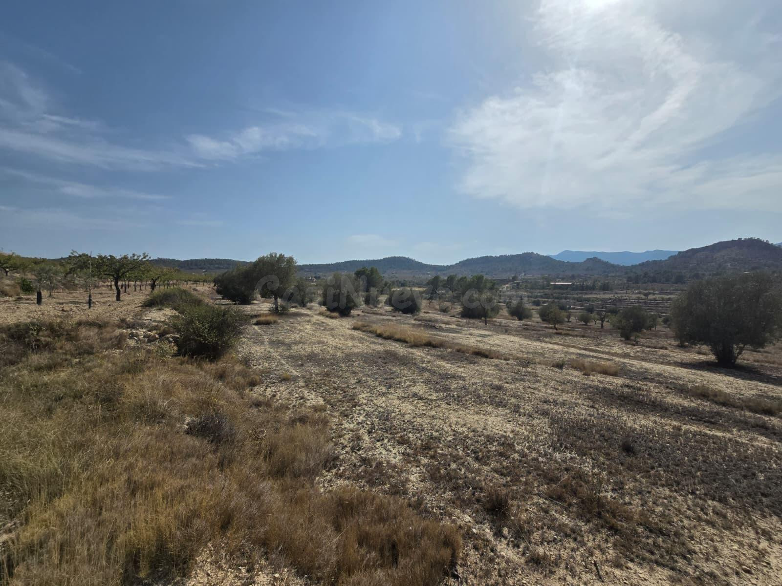 Terreno rural en venta - Comunidad valenciana - foto 5