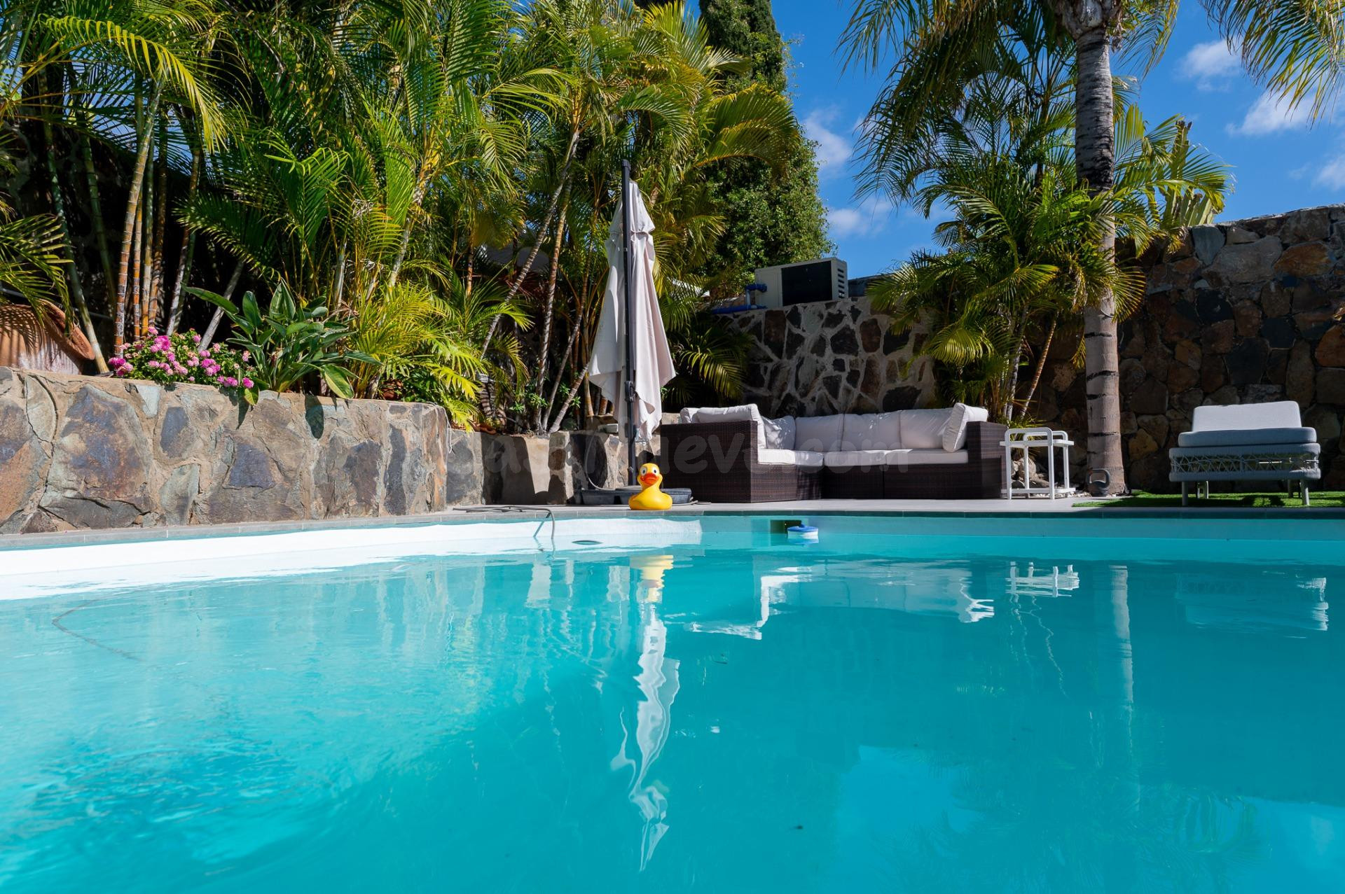 Oasis Privado Ampliado en Maspalomas - foto 5