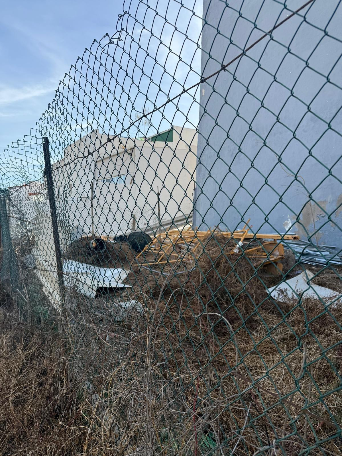 PARCELA URBANA EN TELDE - LAS MEDIANIAS - foto 4