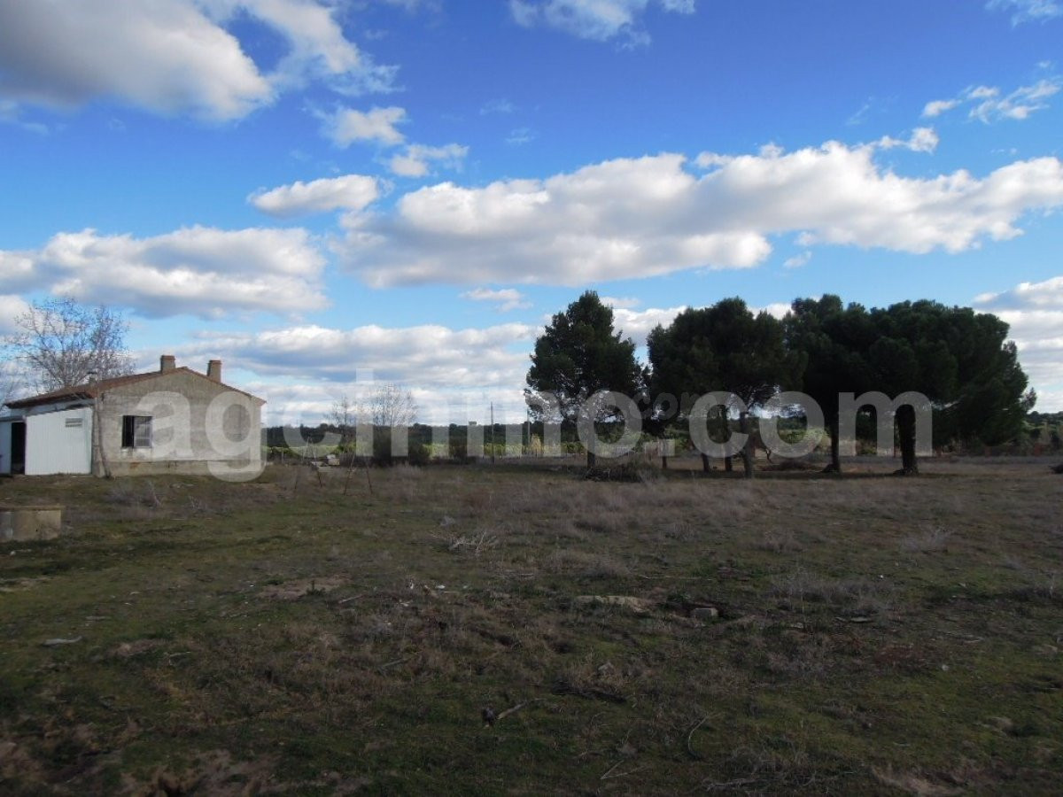 Parcela con vivienda. - foto 5