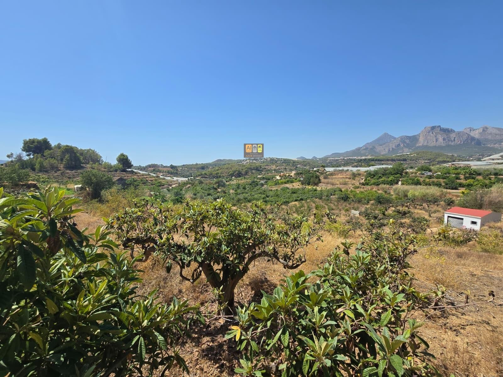 TERRENO RÚSTICO EN VENTA EN CALLOSA D’EN SARRIÀ