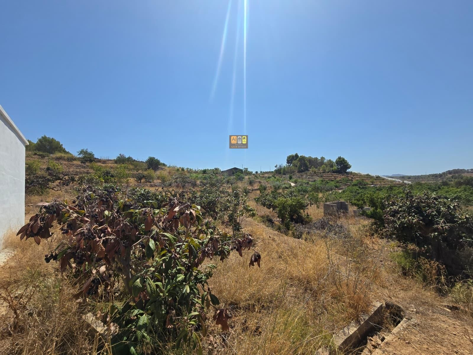 TERRENO RÚSTICO EN VENTA EN CALLOSA D’EN SARRIÀ - foto 3