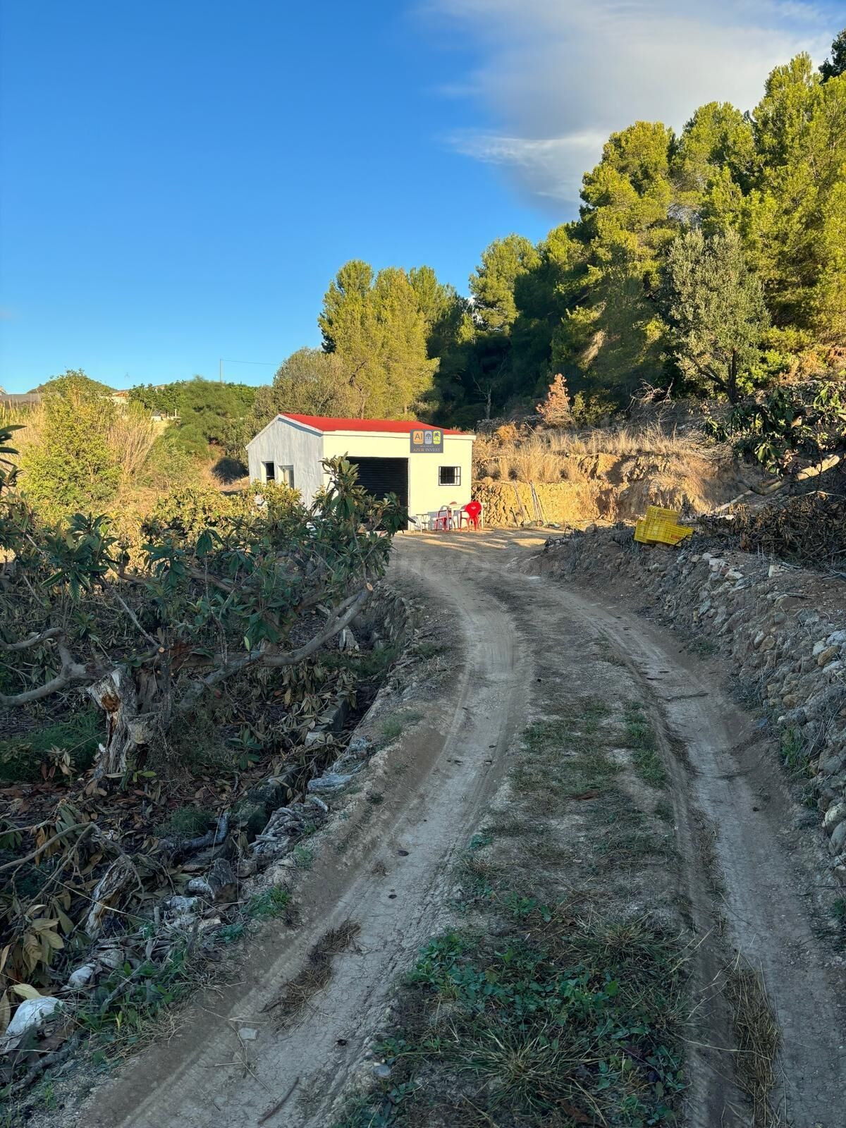 TERRENO RÚSTICO EN VENTA EN CALLOSA D’EN SARRIÀ - foto 4