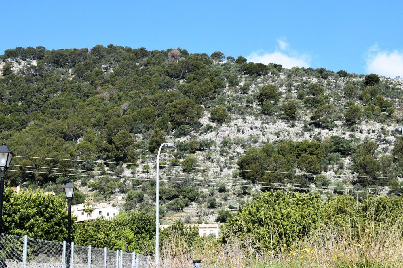 Solar en venta en Alaró con excelente potencial de construcc