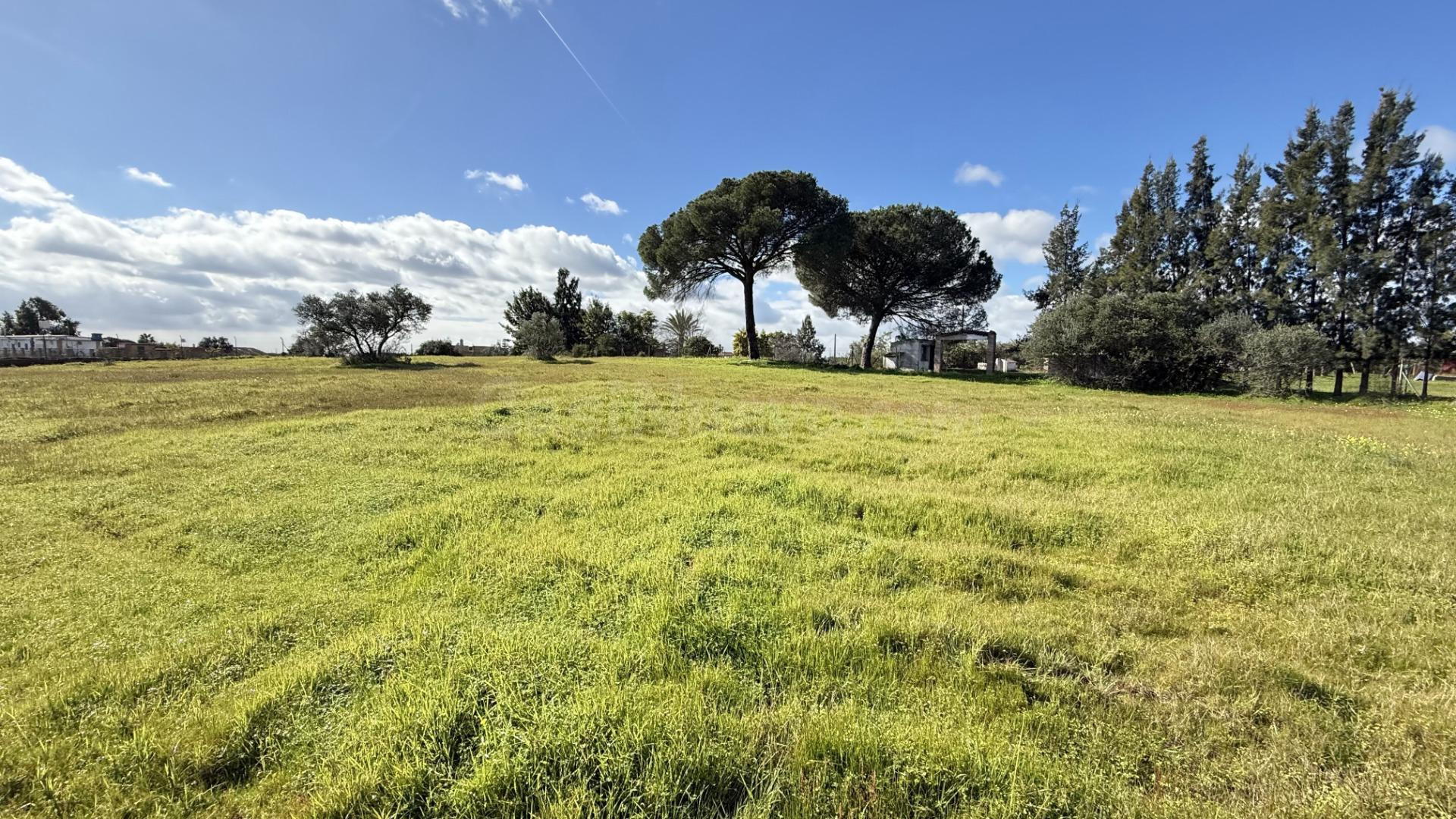 FINCA ECOLÓGICA DE 5 HA CON CASA EN GIBRALEÓN - foto 2