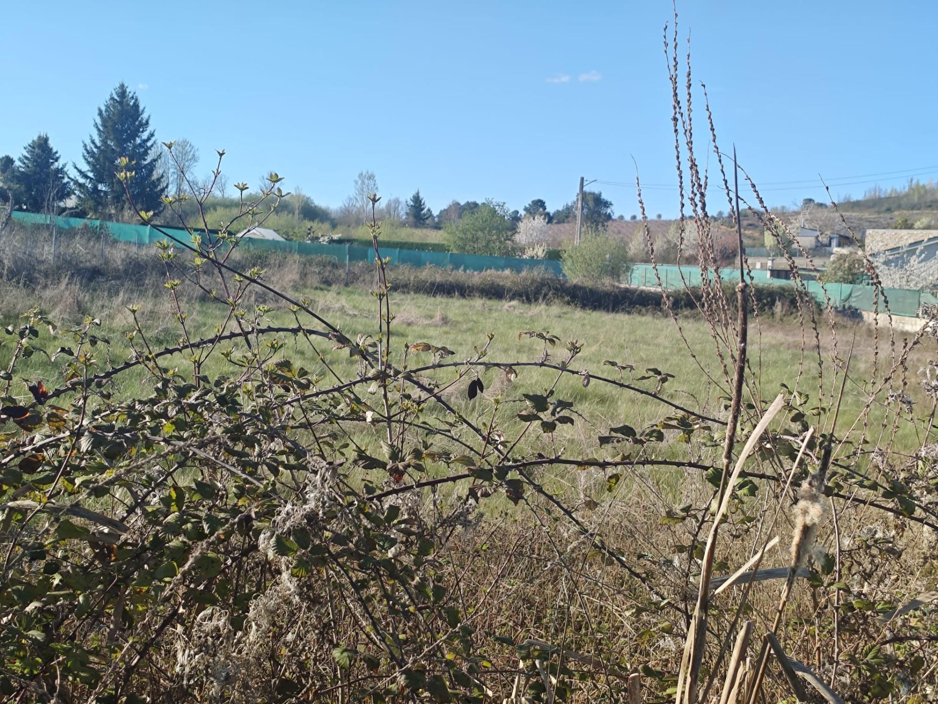 VENTA PARCELA URBANA EN CORTIGUERA - foto 4