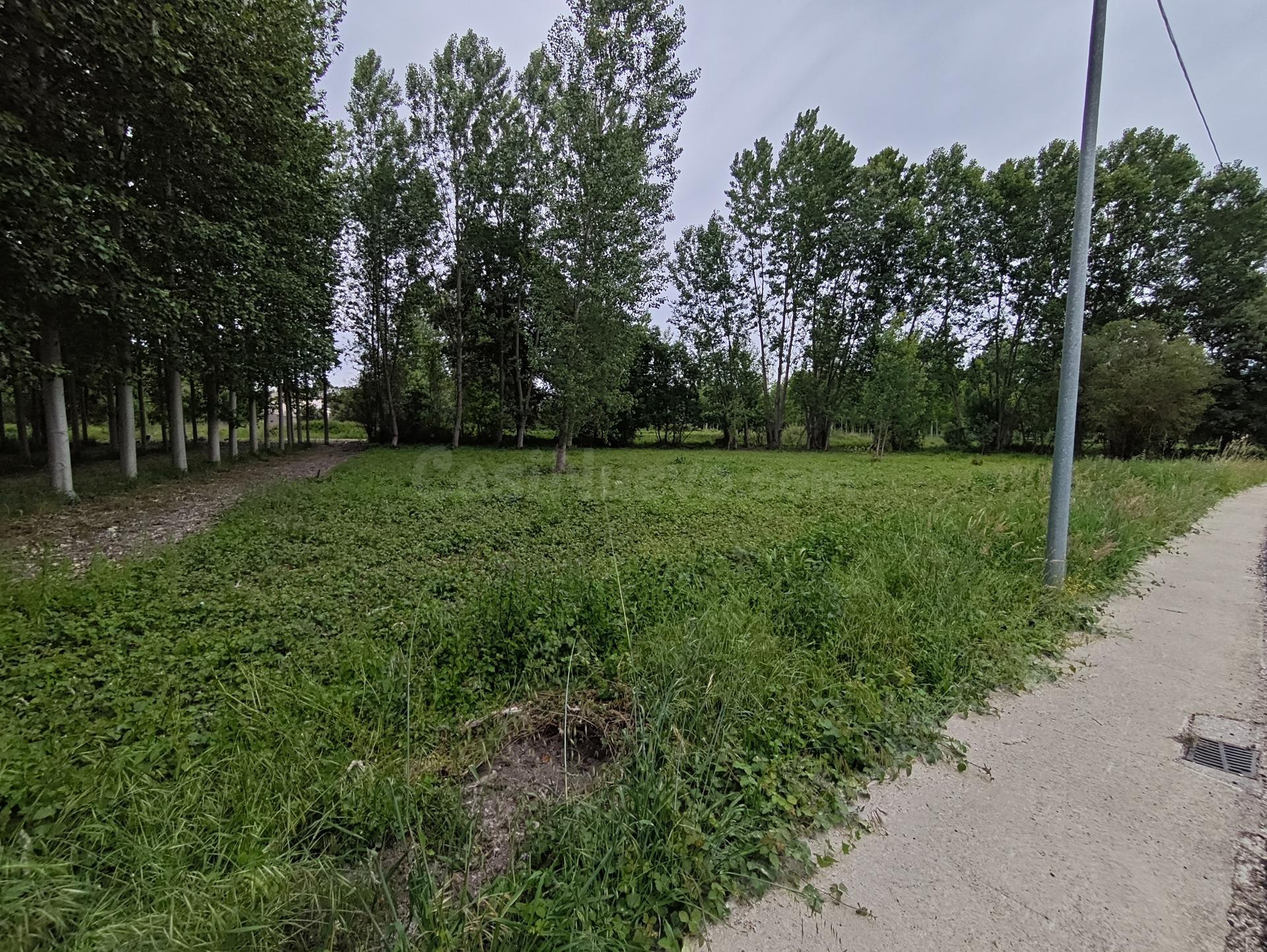 Terreno Urbano en Villadepalos, Carracedelo - Oportunidad Ún - foto 3