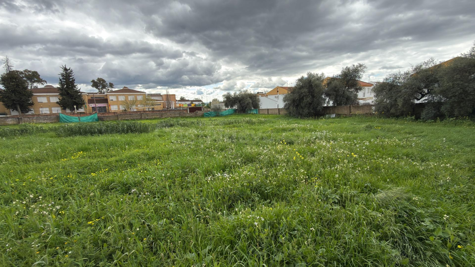 TERRENO URBANO INDUSTRIAL EN EL CERRO DE LA ANDÉVALO (HUELVA) - foto 2