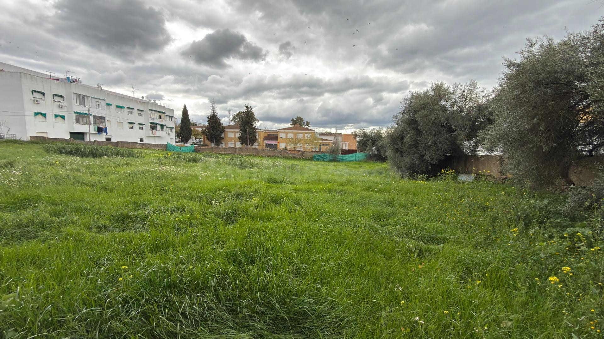 TERRENO URBANO INDUSTRIAL EN EL CERRO DE LA ANDÉVALO (HUELVA) - foto 3