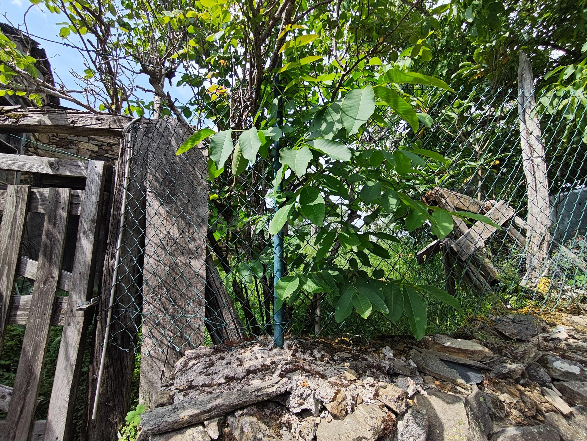venta casa con terreno en el Acebo - foto 2