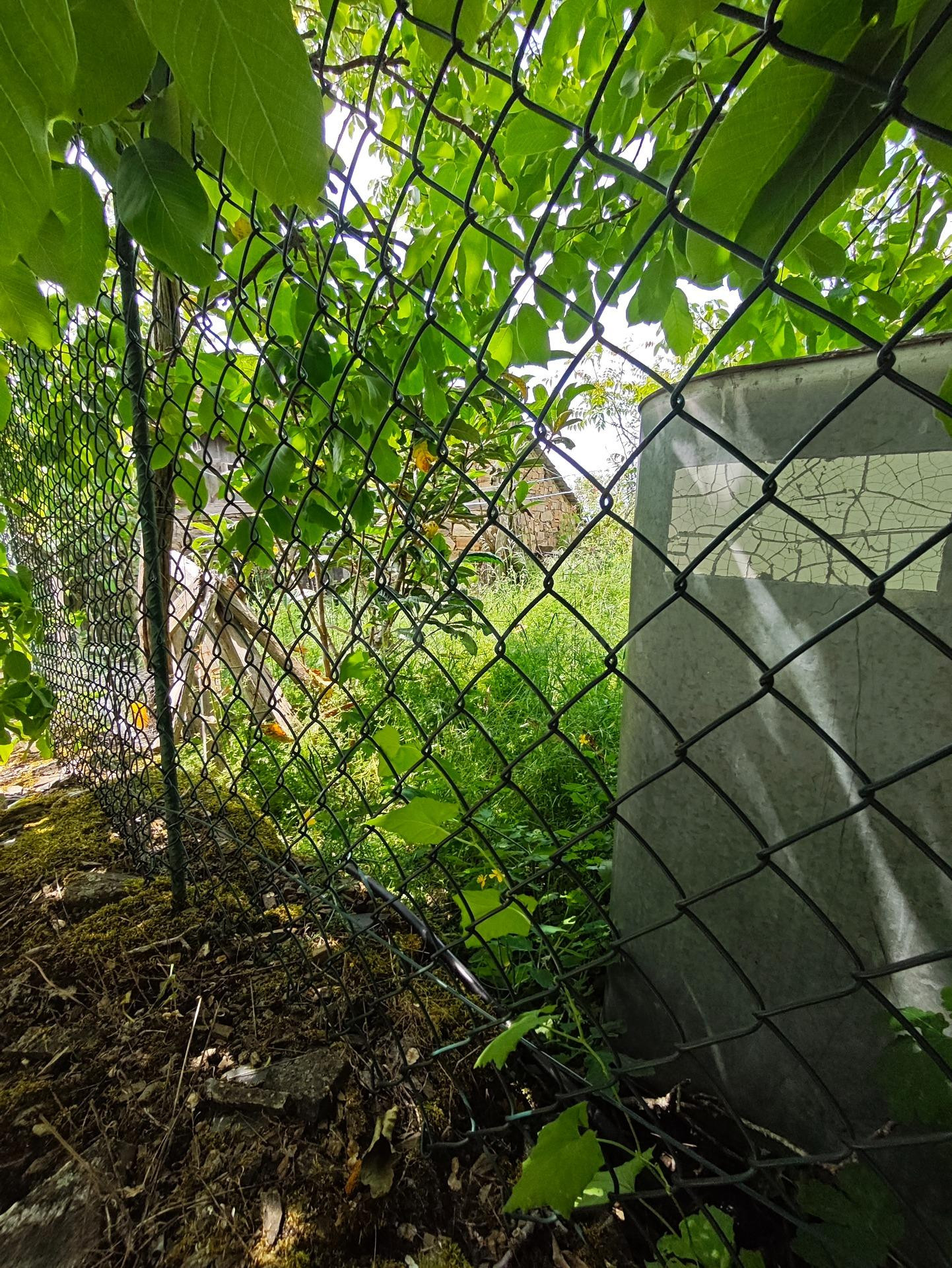 venta casa con terreno en el Acebo - foto 4