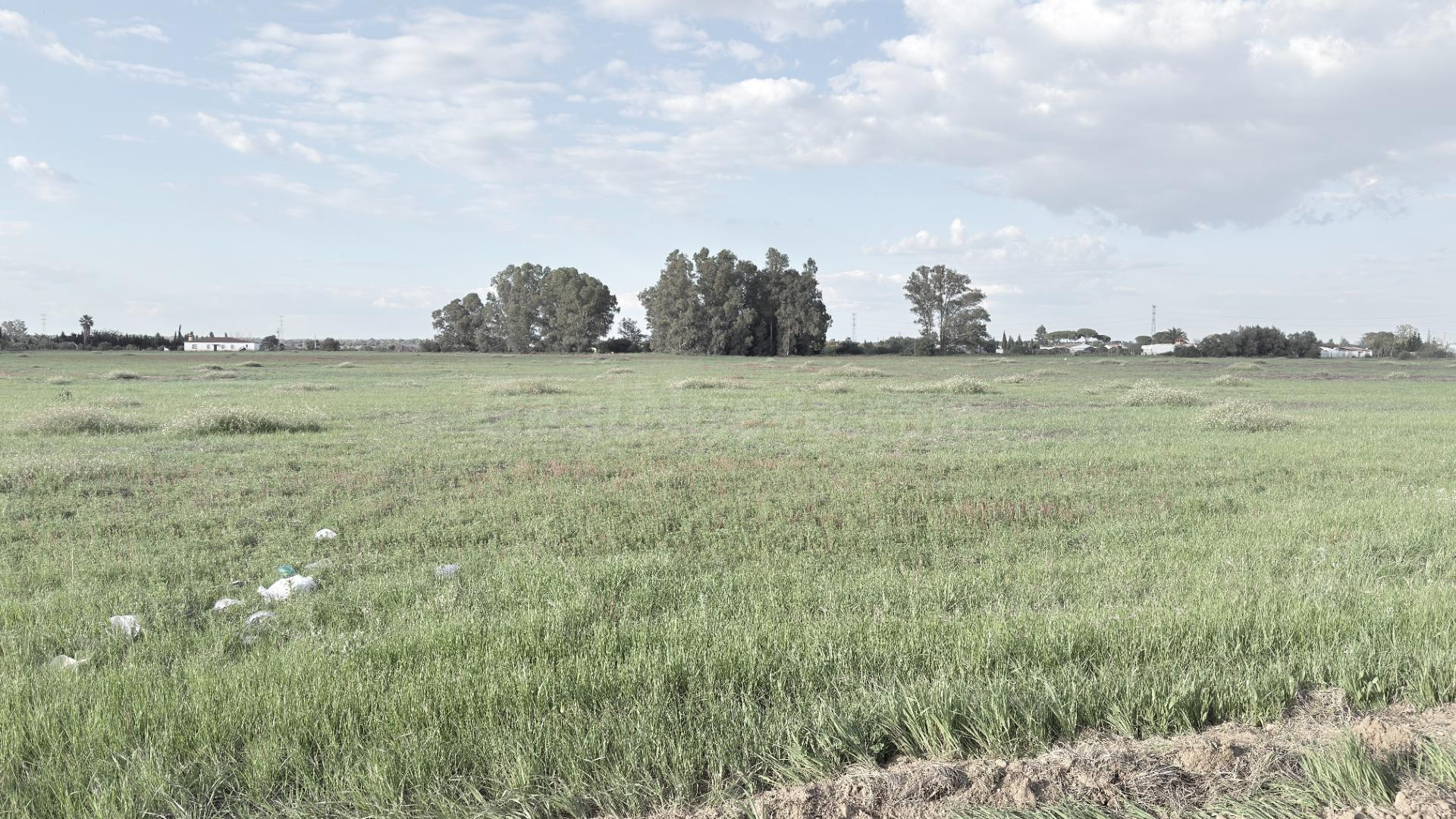 FINCA RUSTICA EN EL PINTADO (GIBRALEÓN - HUELVA) - foto 5