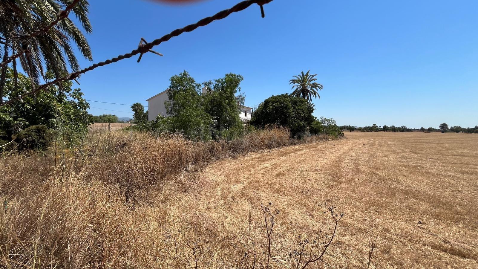 Finca rústica mallorquina con gran potencial para reformar e - foto 5