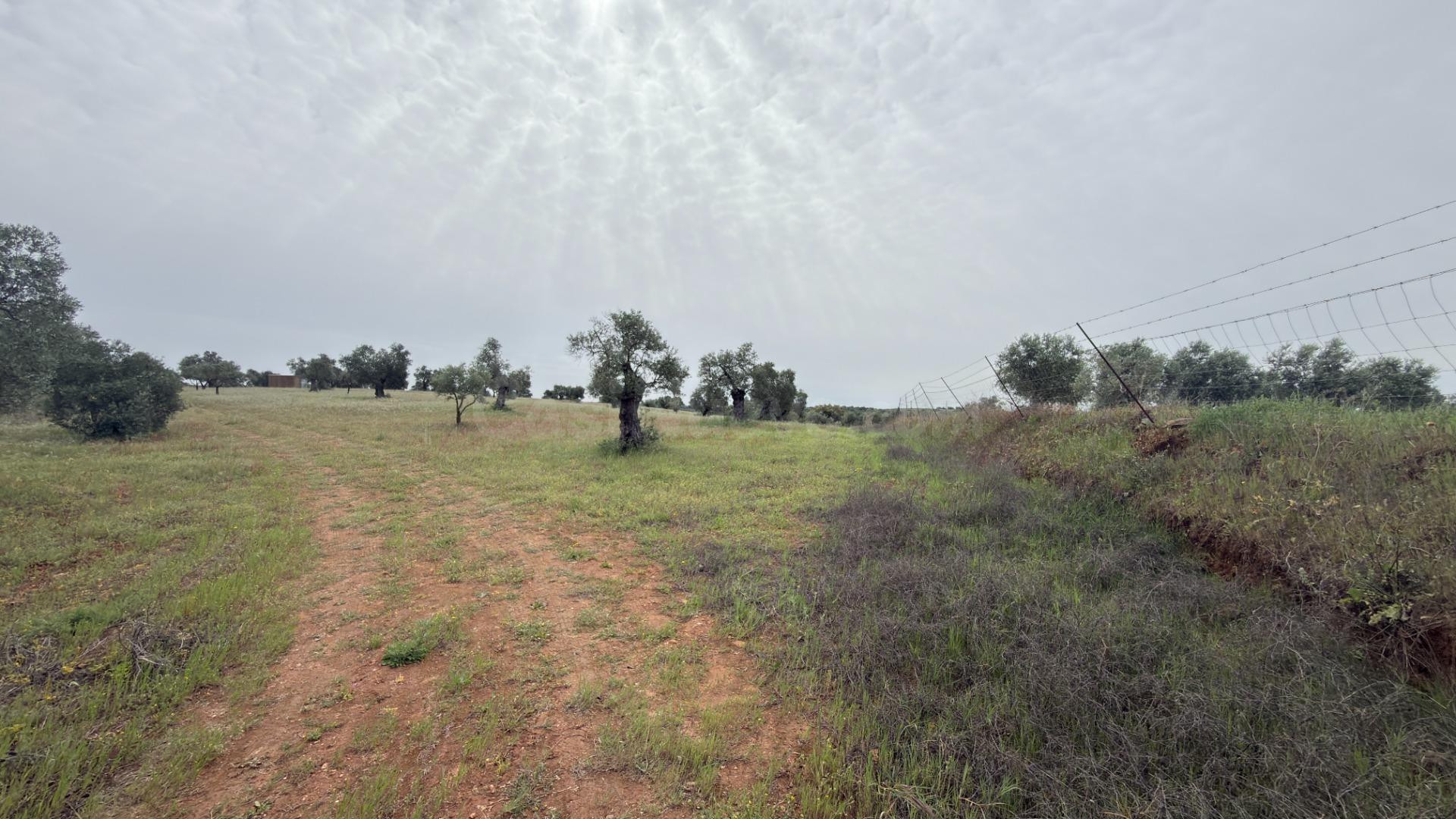 FINCA RÚSTICA EN LA PEÑUELA - NIEBLA - foto 4