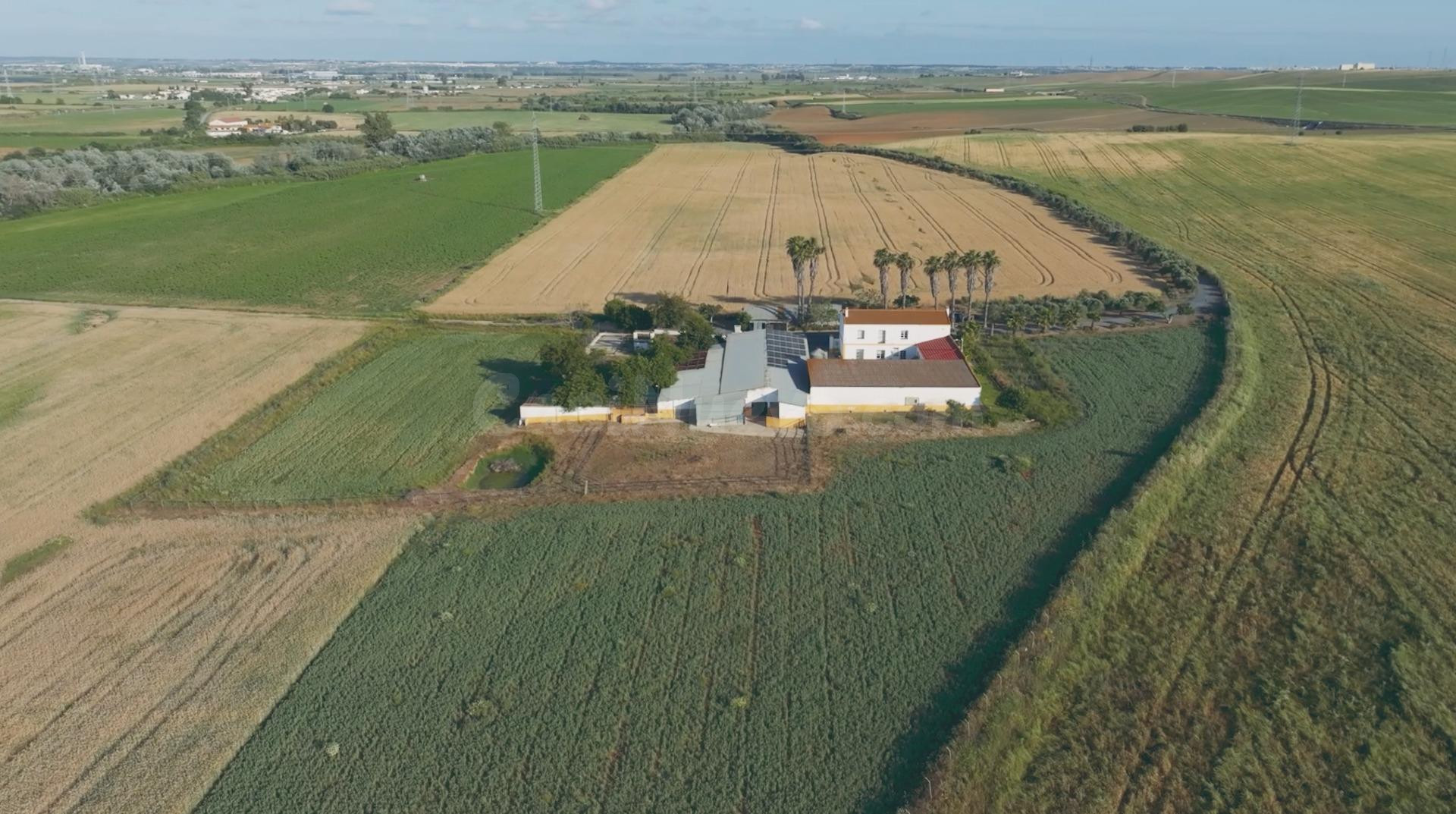 FINCA CON CASA EN LA RIBERA, HUELVA