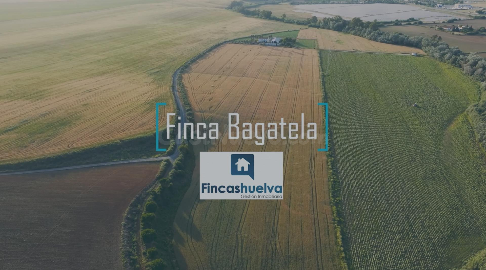 FINCA CON CASA EN LA RIBERA, HUELVA - foto 2