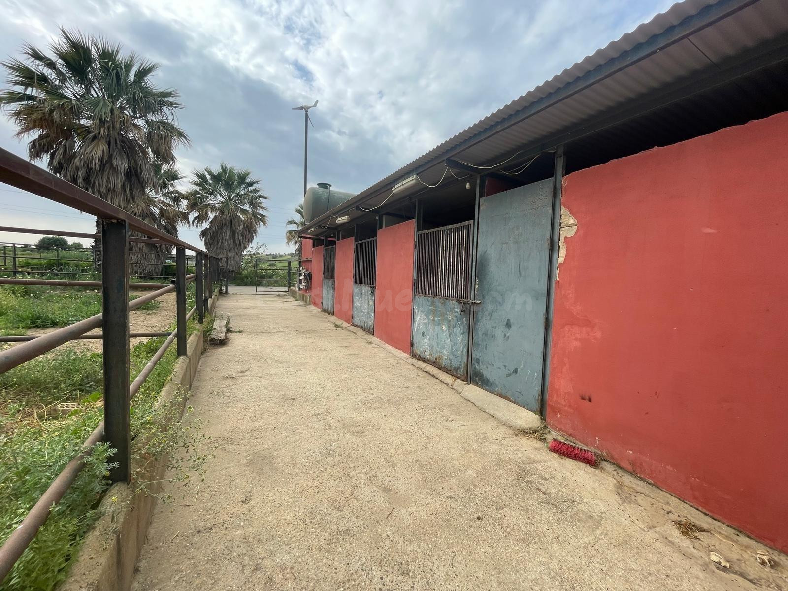 FINCA EN VENTA NIEBLA - foto 2