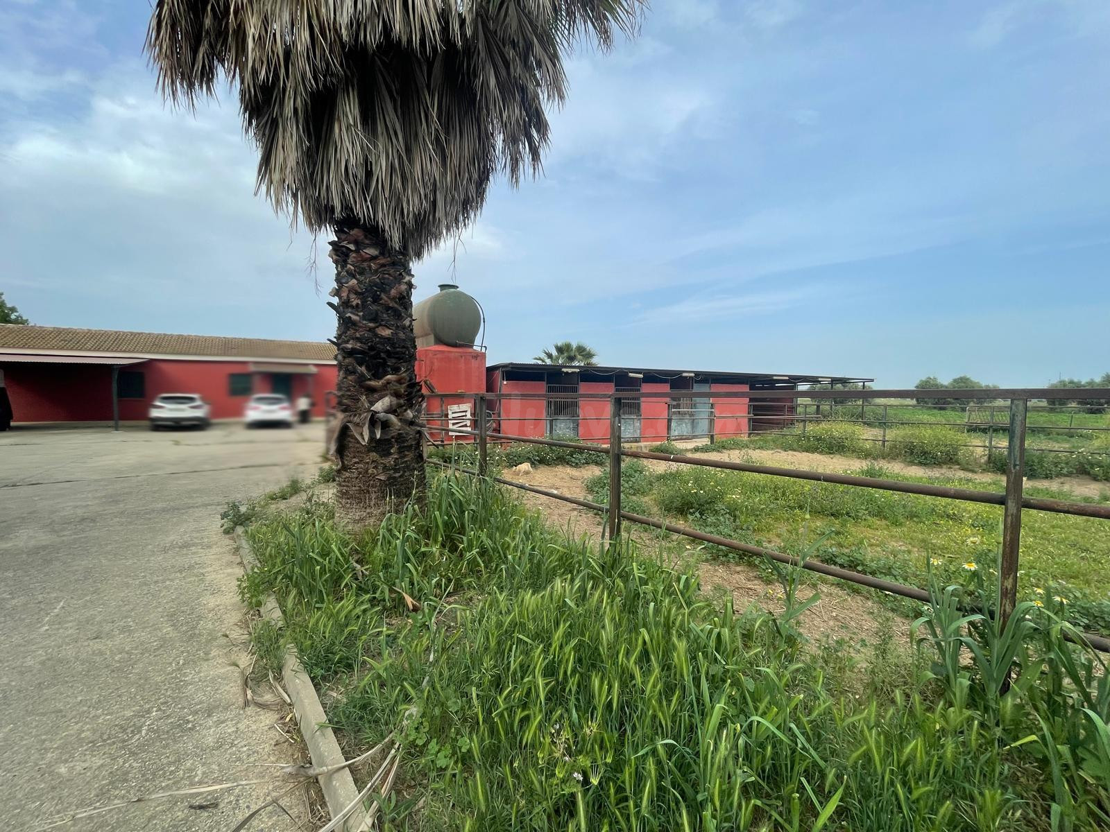 FINCA EN VENTA NIEBLA - foto 3